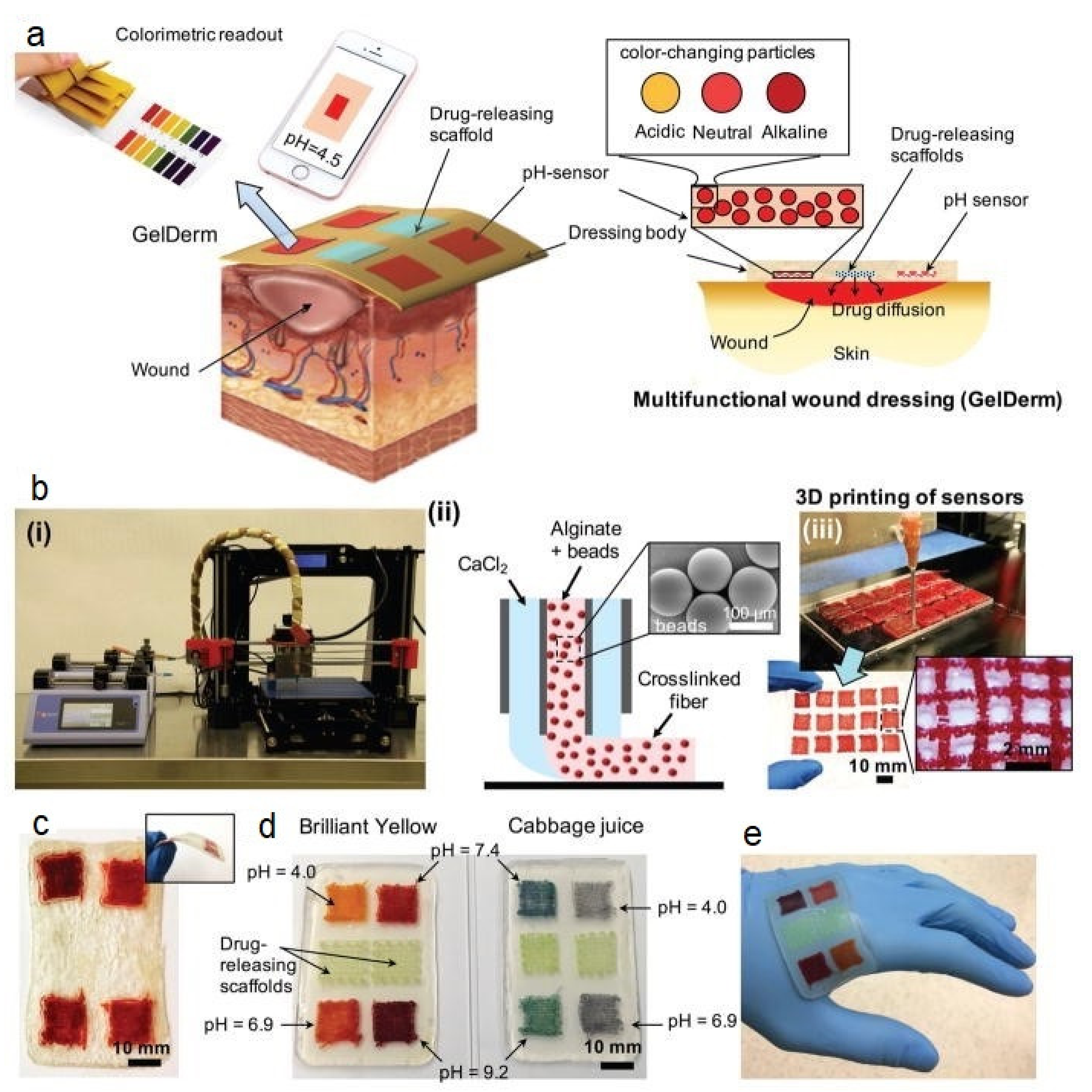 Biomedicines 09 01537 g006