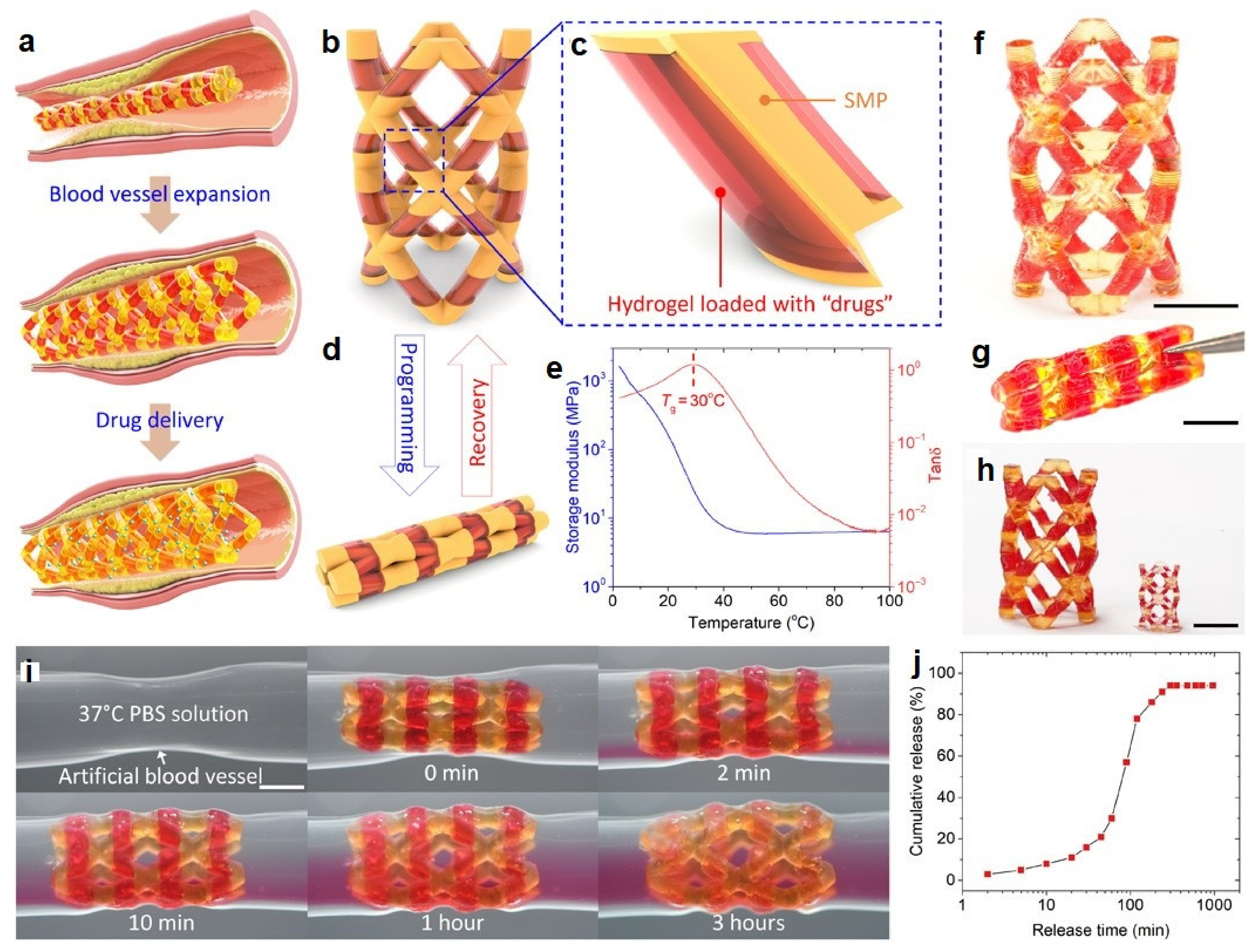Biomedicines 09 01537 g012