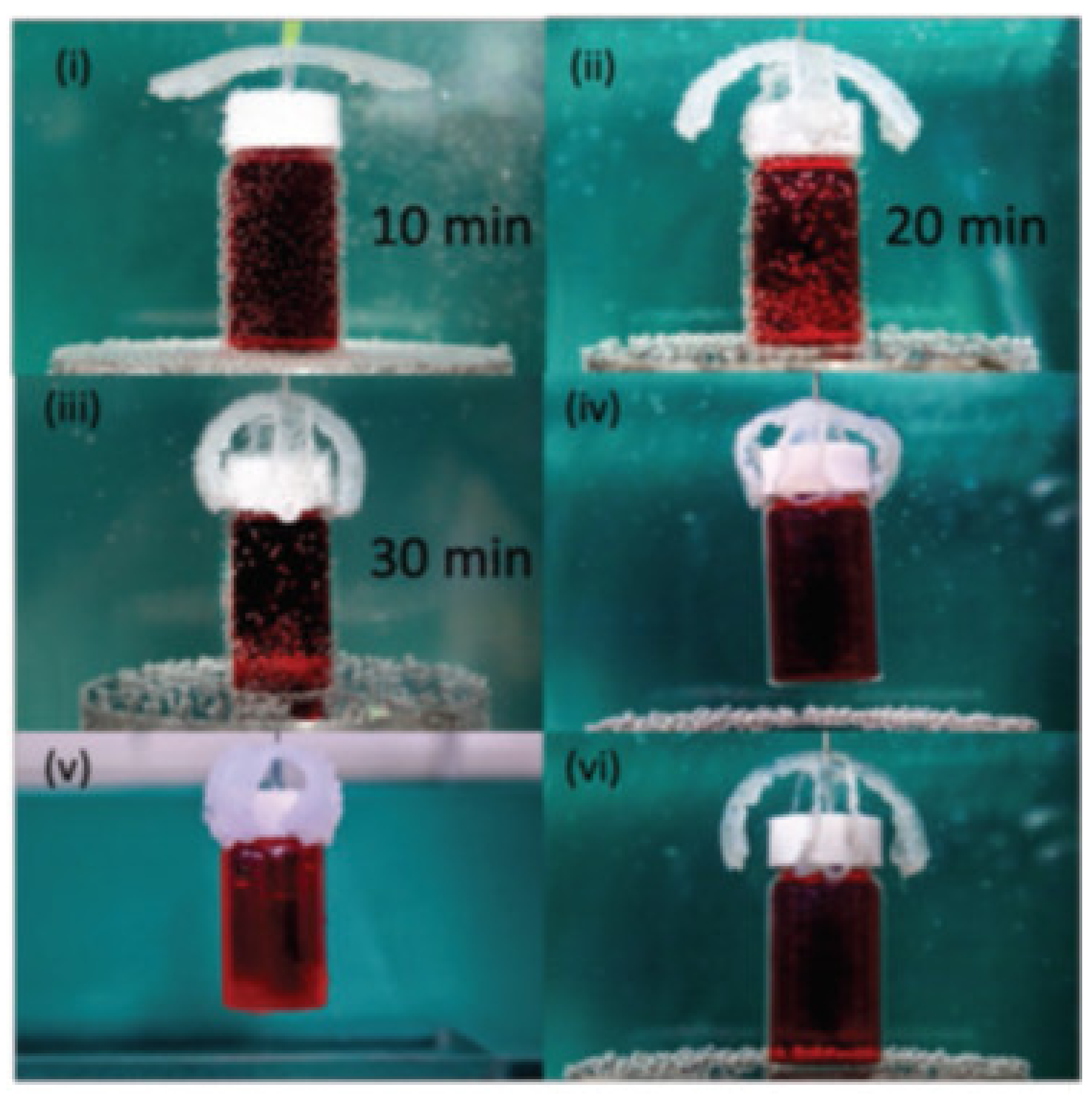 Biomedicines 09 01537 g017