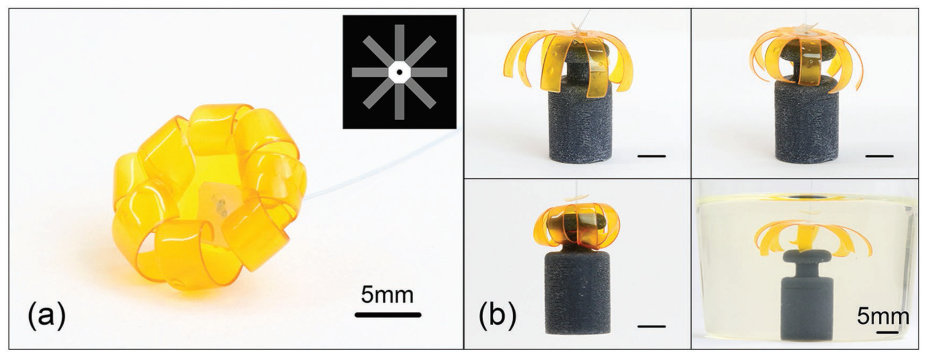Biomedicines 09 01537 g020