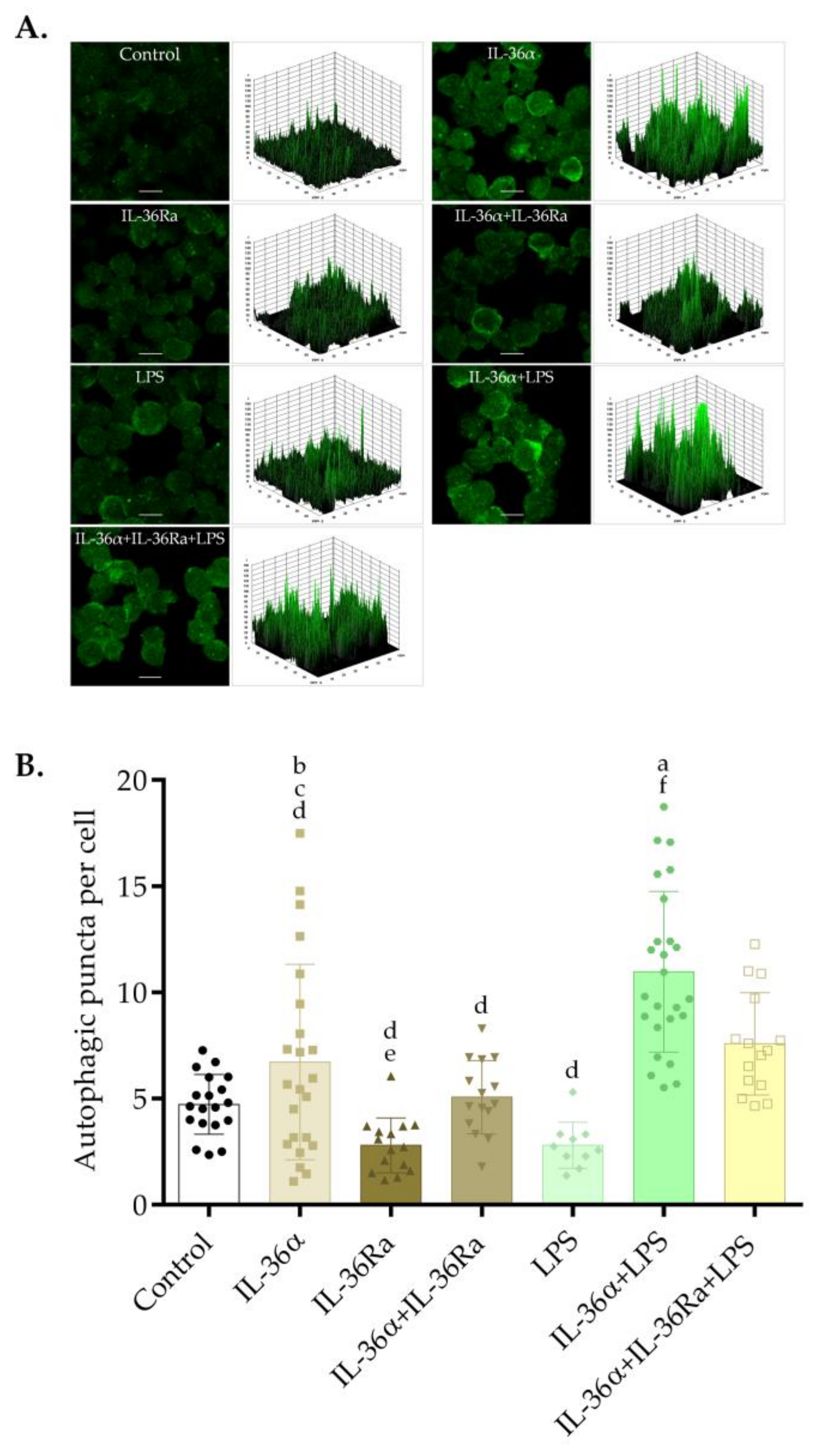 Biomedicines 09 01541 g002 550