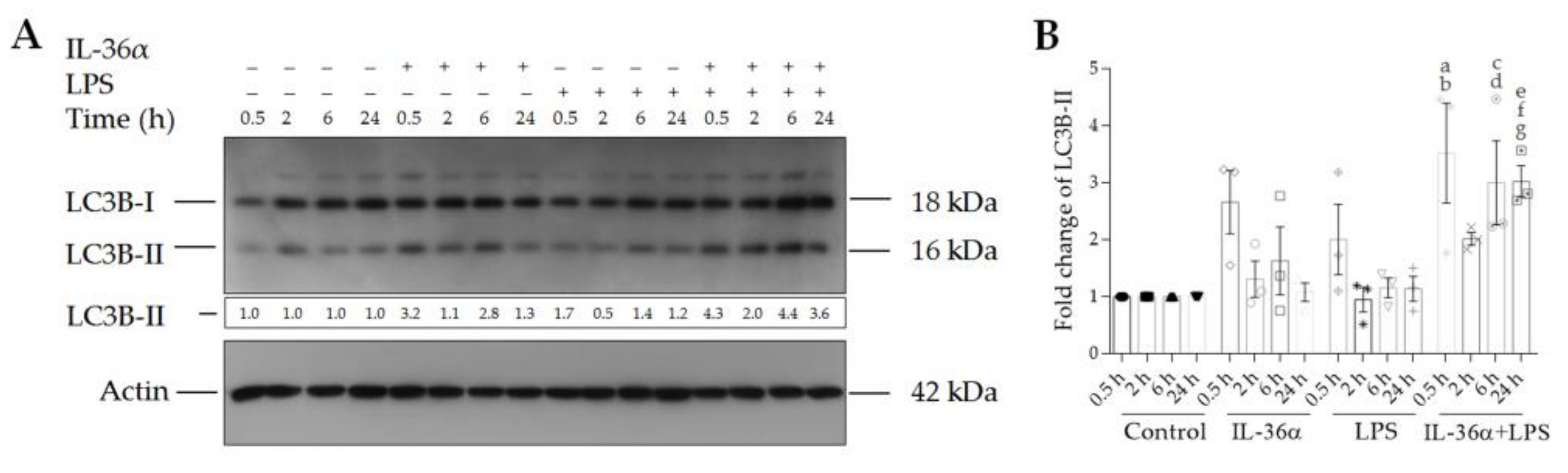 Biomedicines 09 01541 g003 550