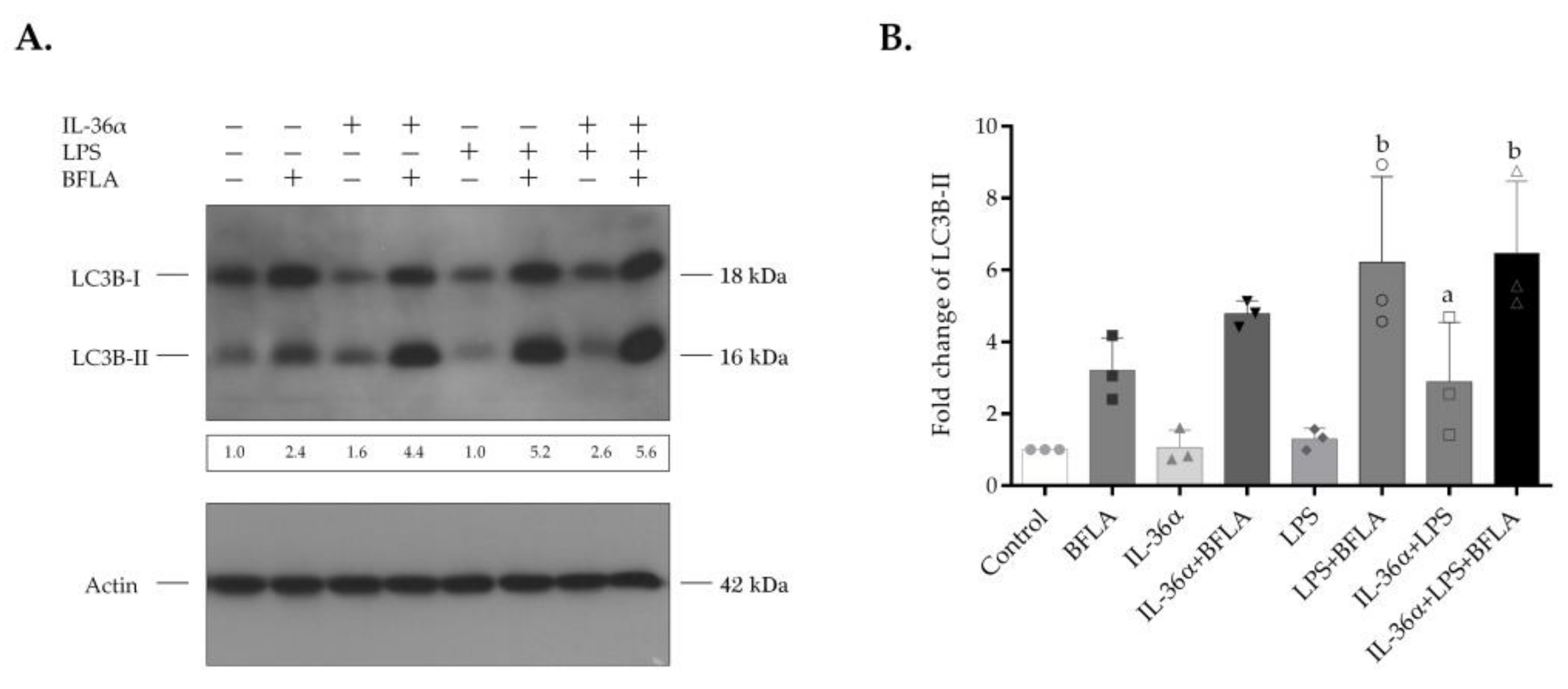 Biomedicines 09 01541 g004 550