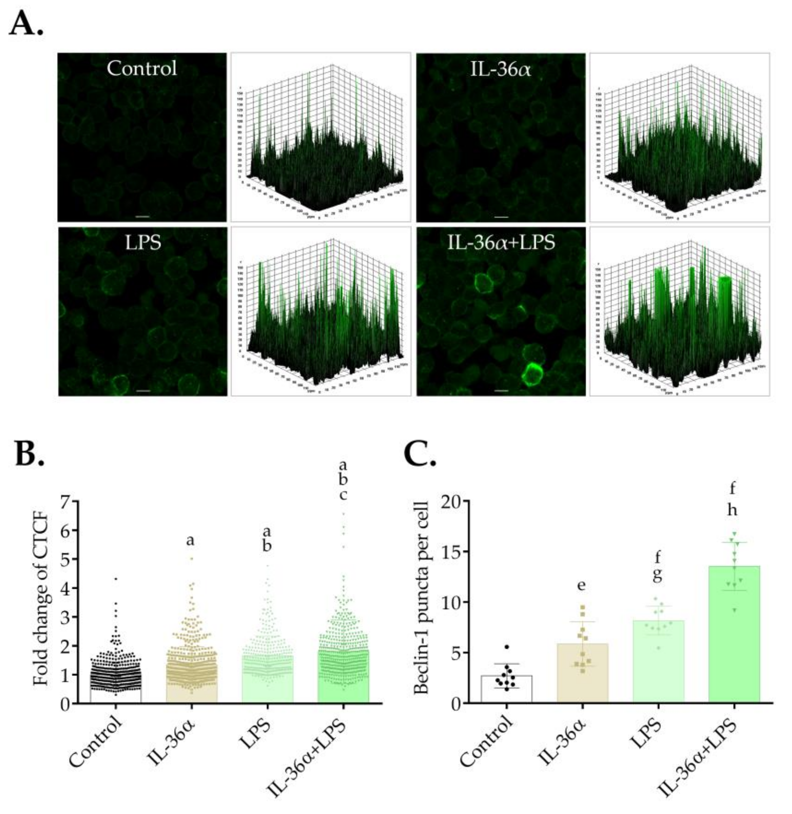 Biomedicines 09 01541 g005 550