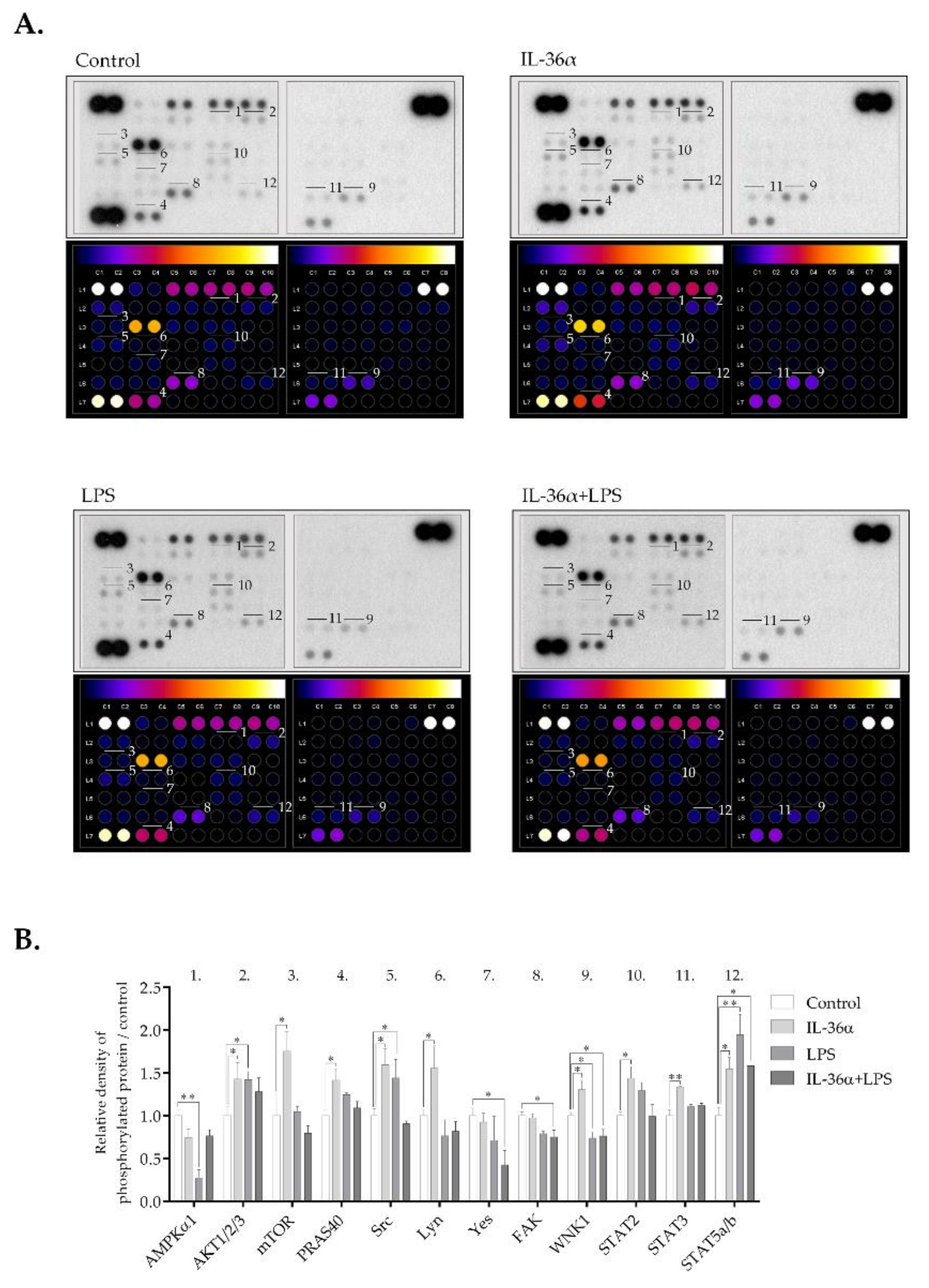 Biomedicines 09 01541 g006 550