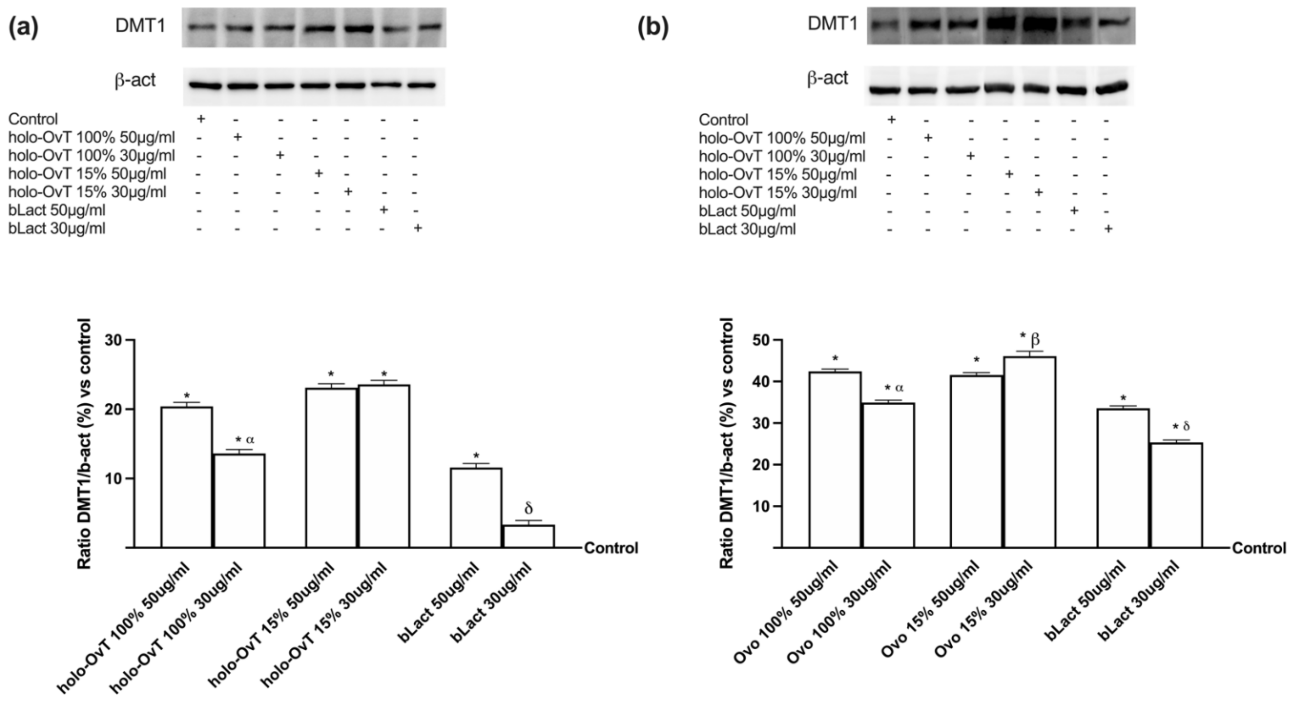 Biomedicines 09 01543 g009