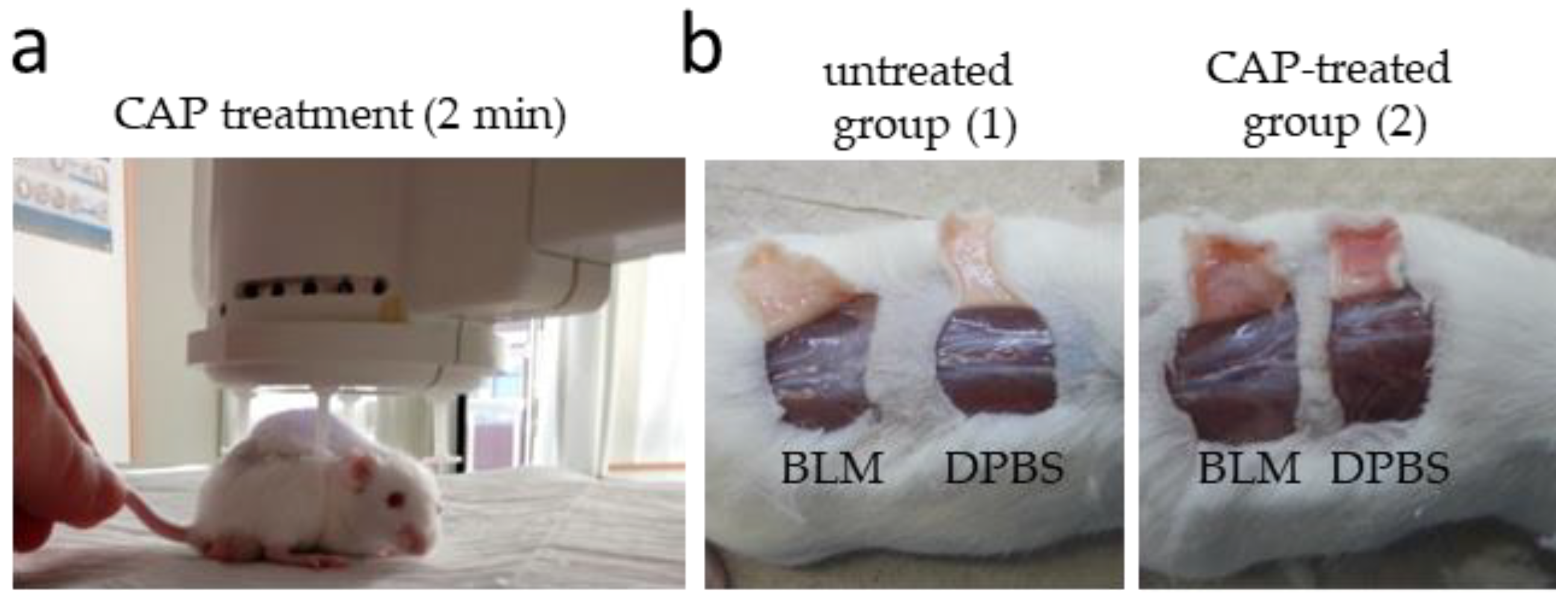 Biomedicines 09 01545 g005 Biomedicines 09 01545 g005