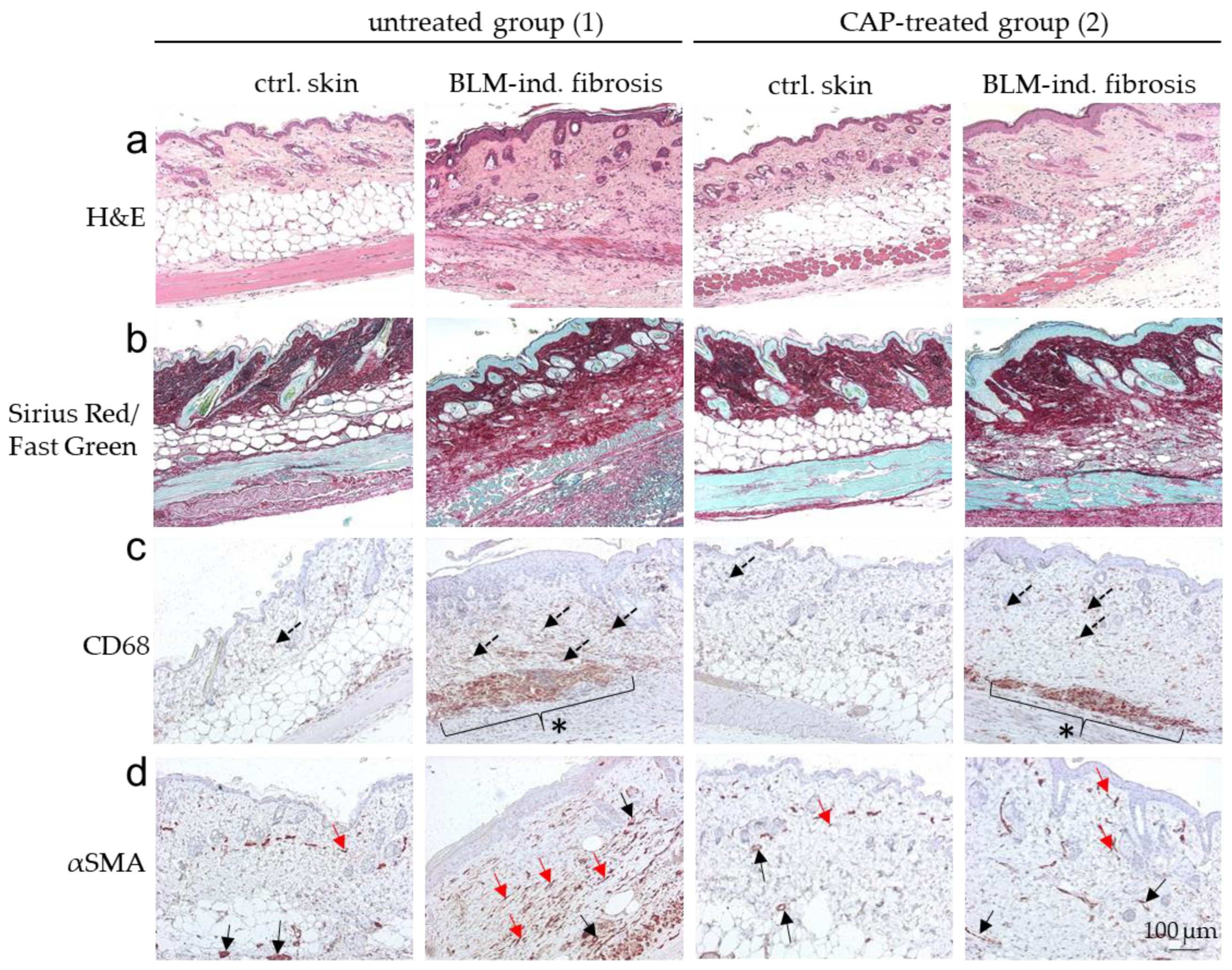 Biomedicines 09 01545 g006 Biomedicines 09 01545 g006