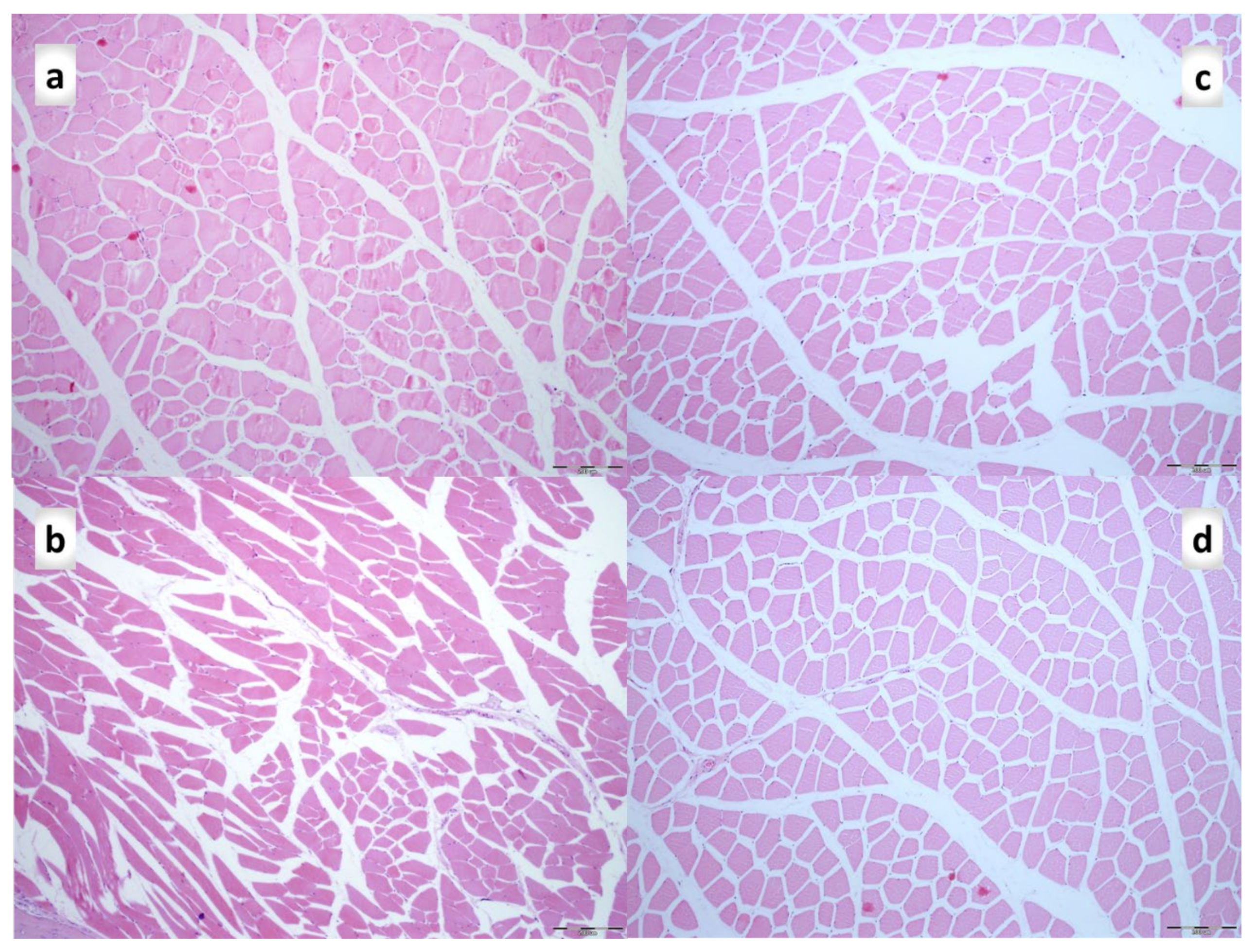 Biomedicines 09 01547 g013