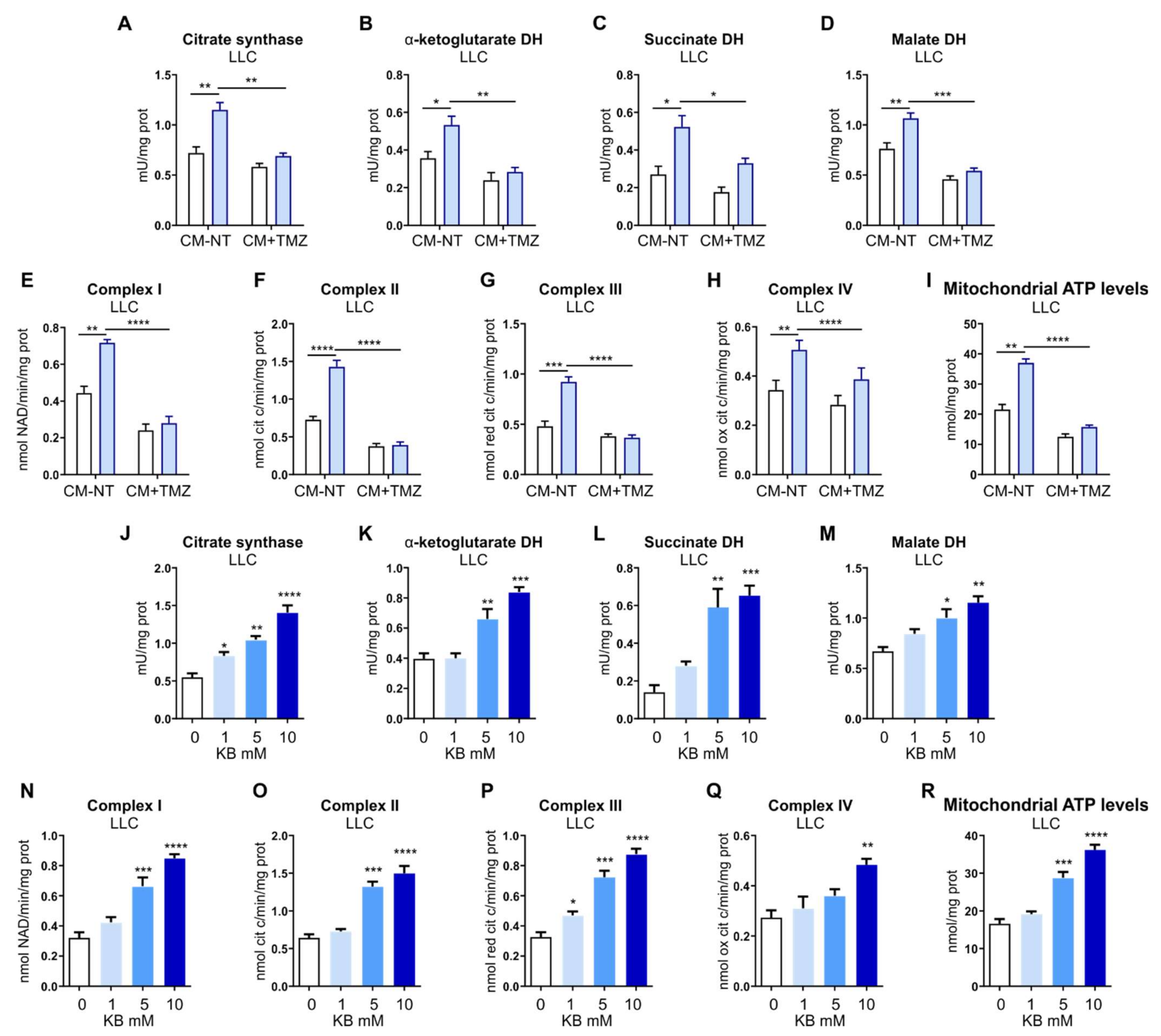 Biomedicines 09 01557 g006