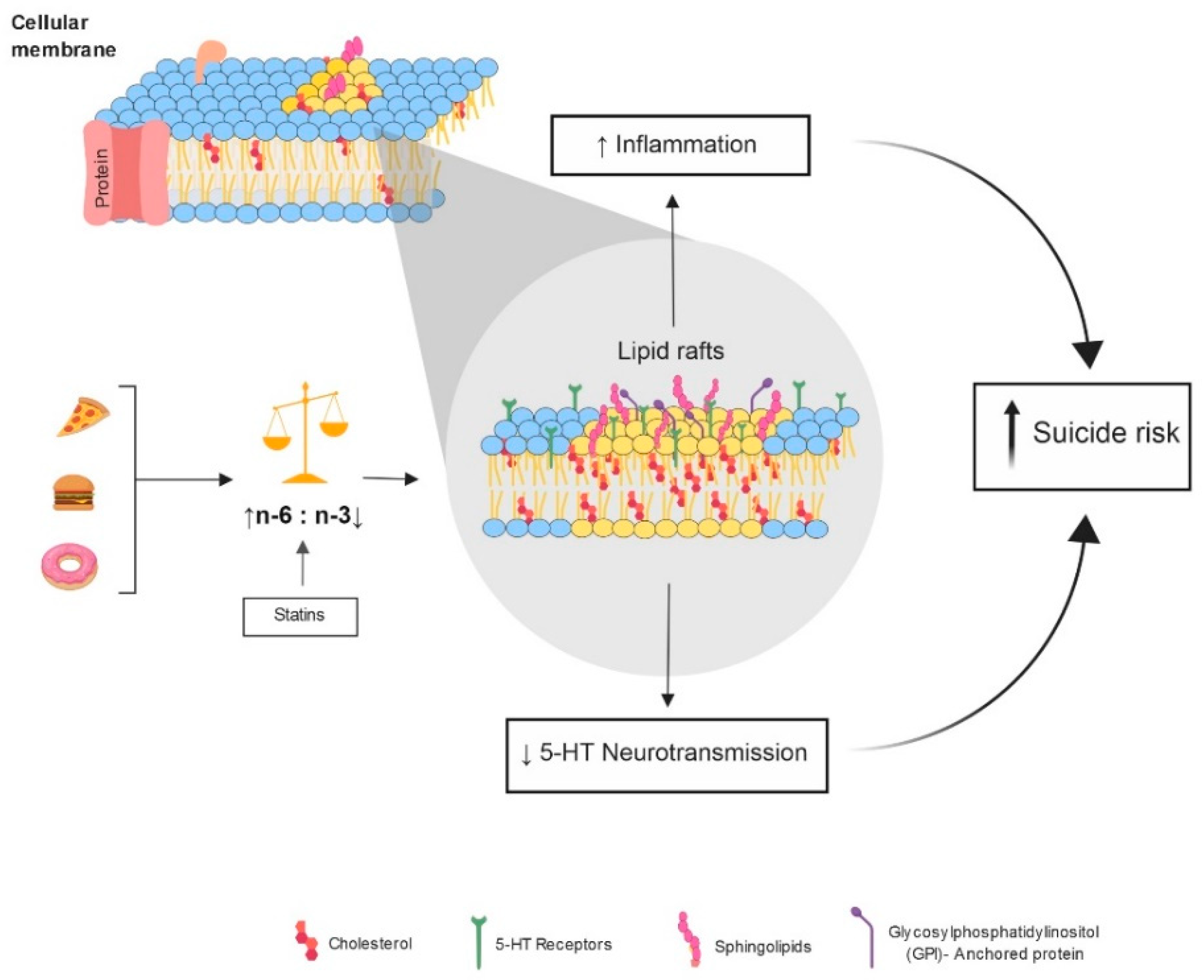 Biomedicines 09 01559 g001 550