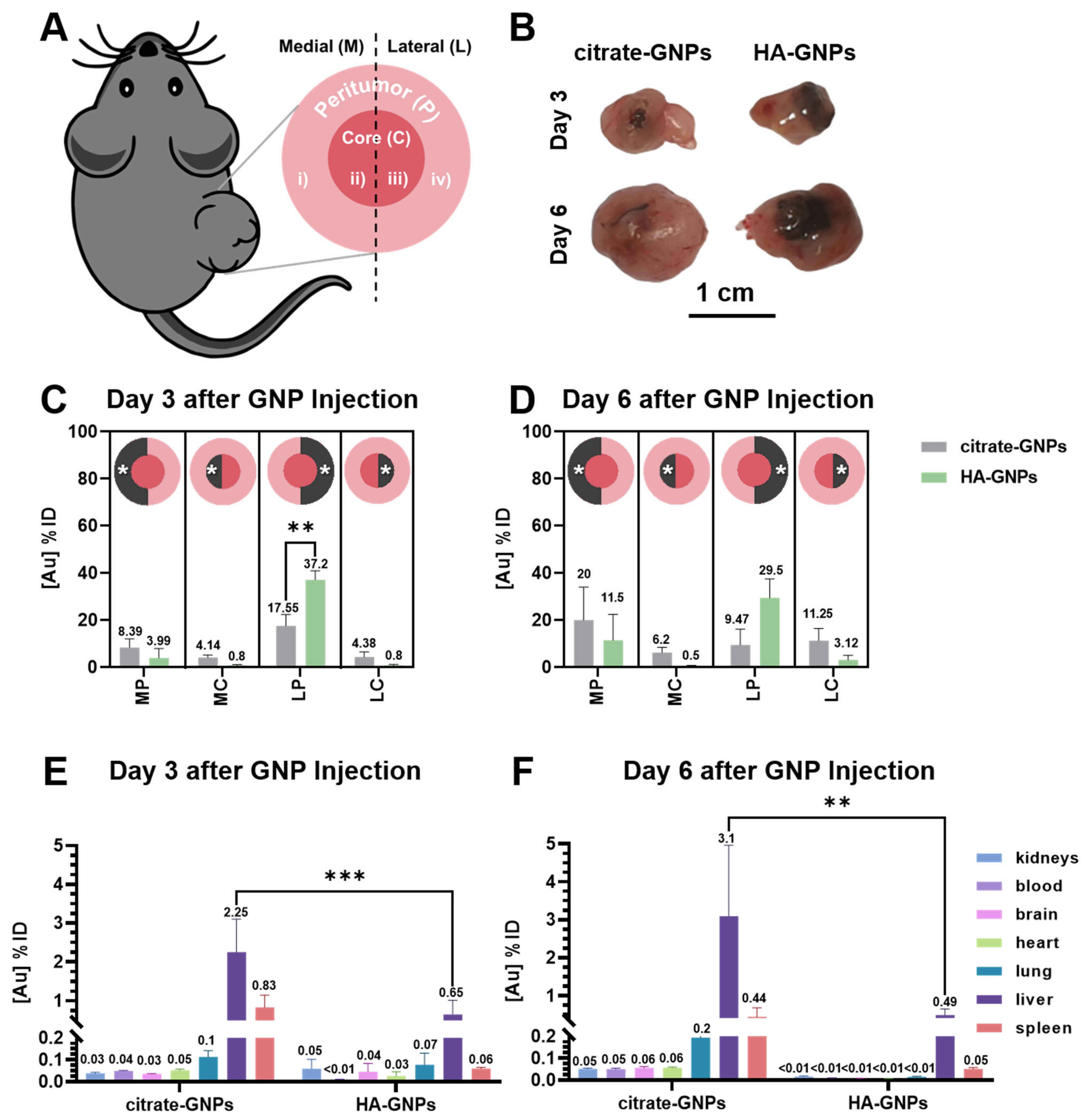 Biomedicines 09 01561 g003 550