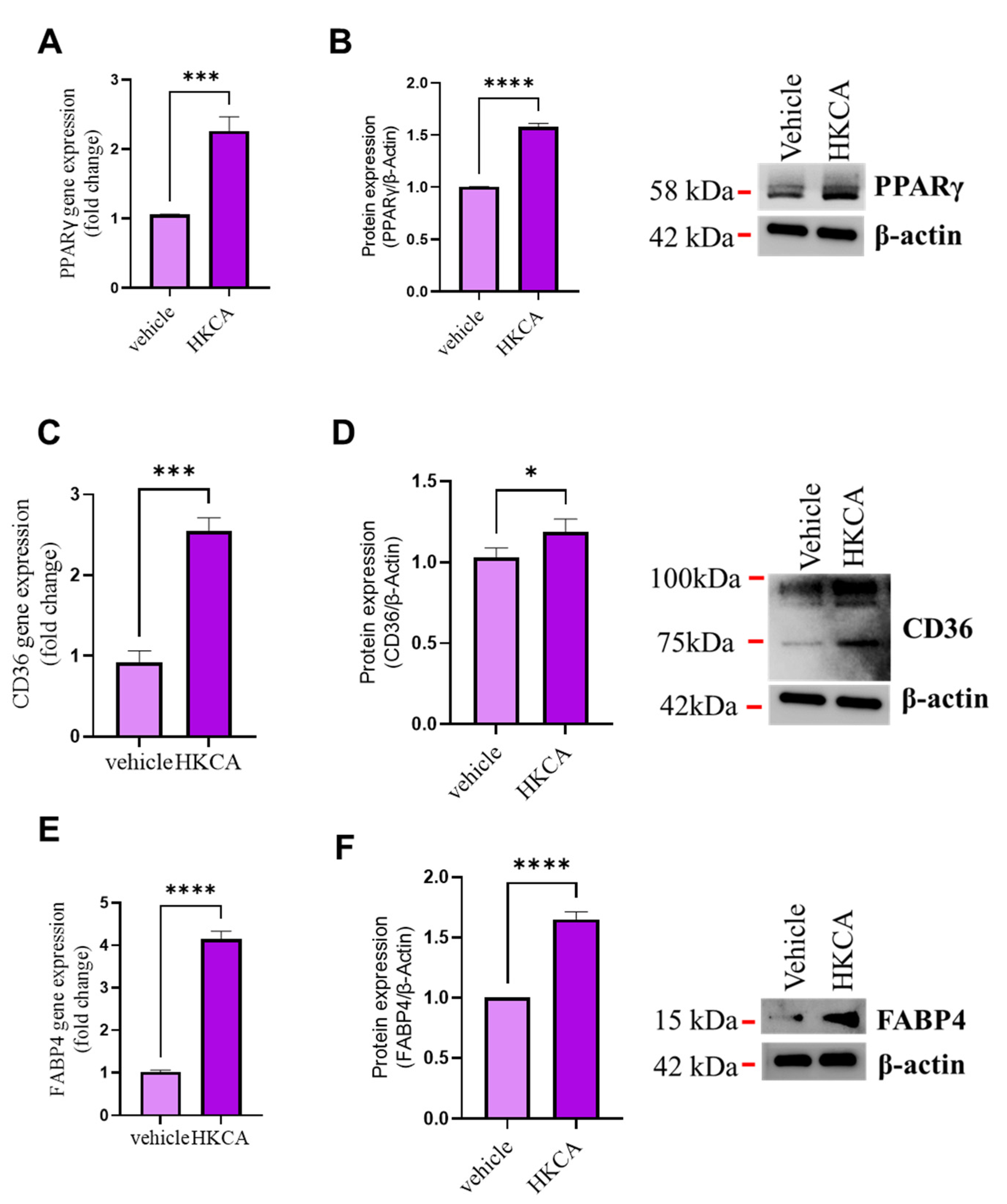 Biomedicines 09 01567 g002 550