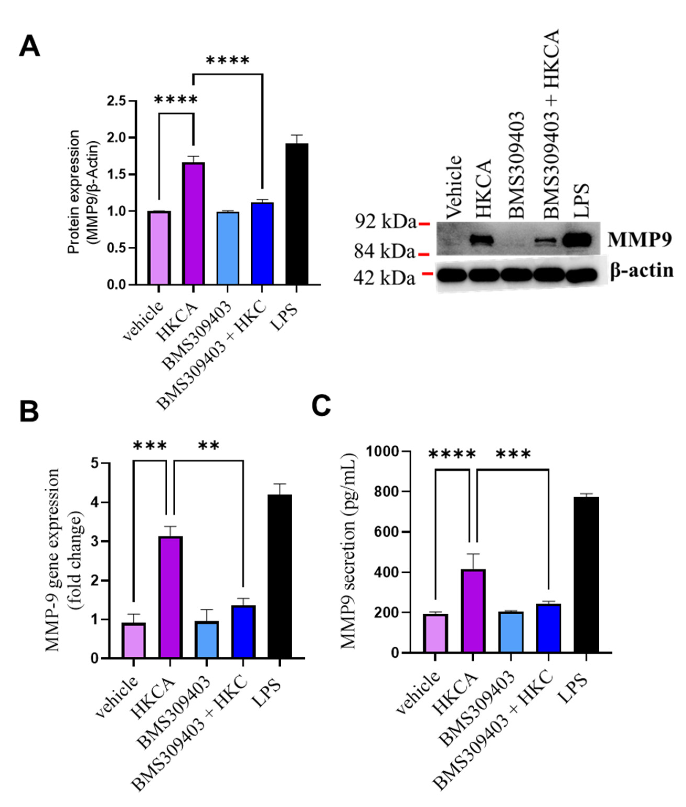 Biomedicines 09 01567 g005 550