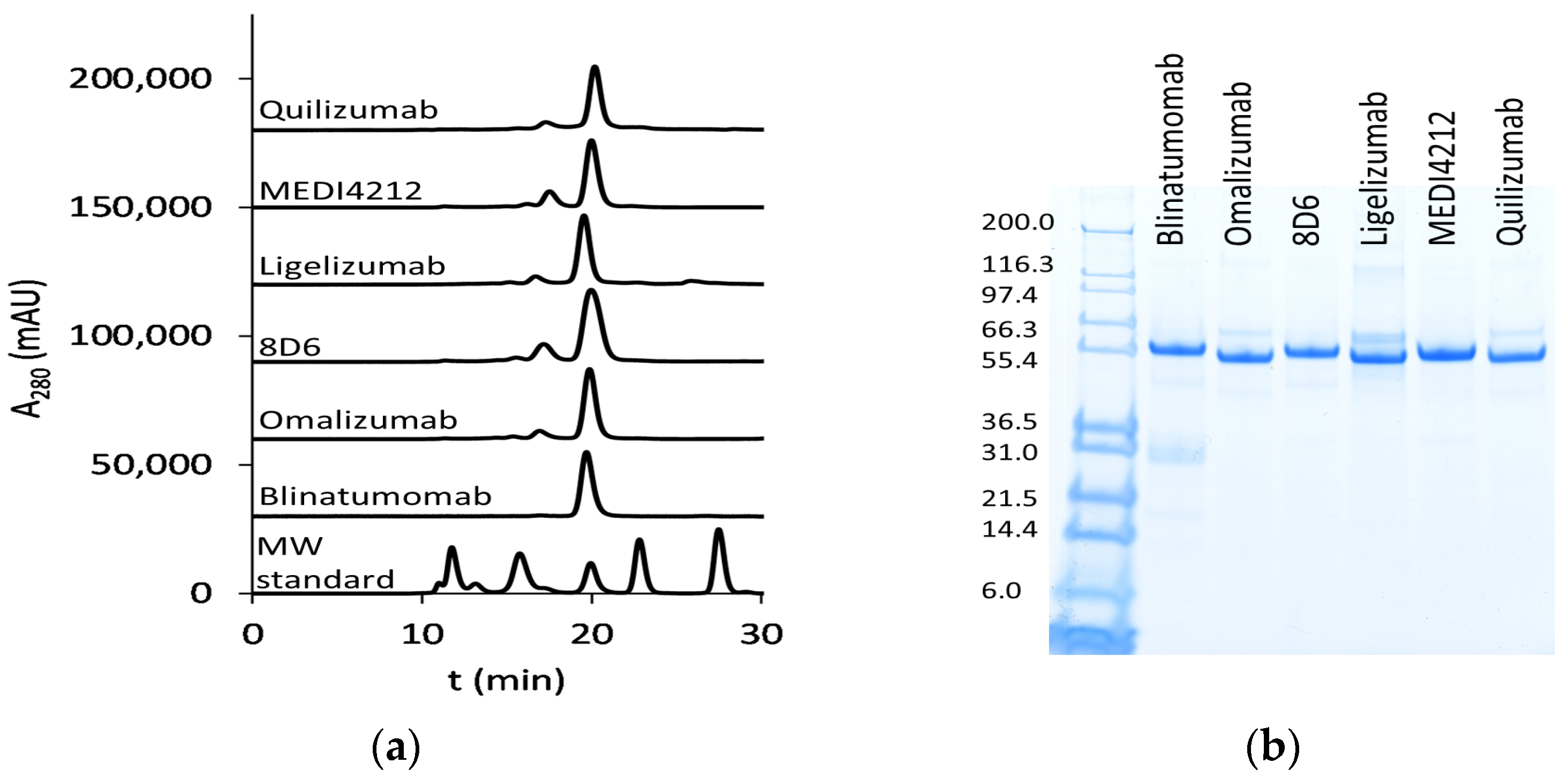 Biomedicines 09 01568 g002 550
