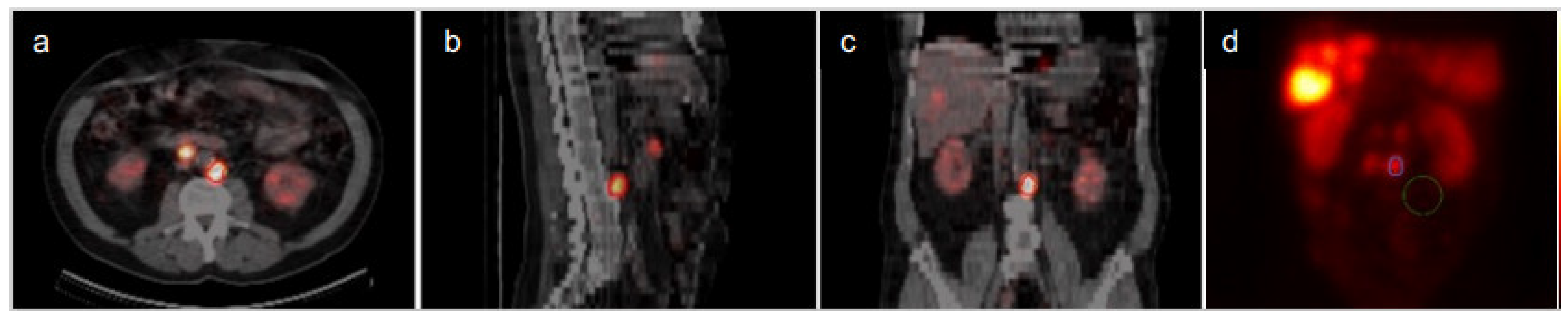 Biomedicines 09 01570 g001
