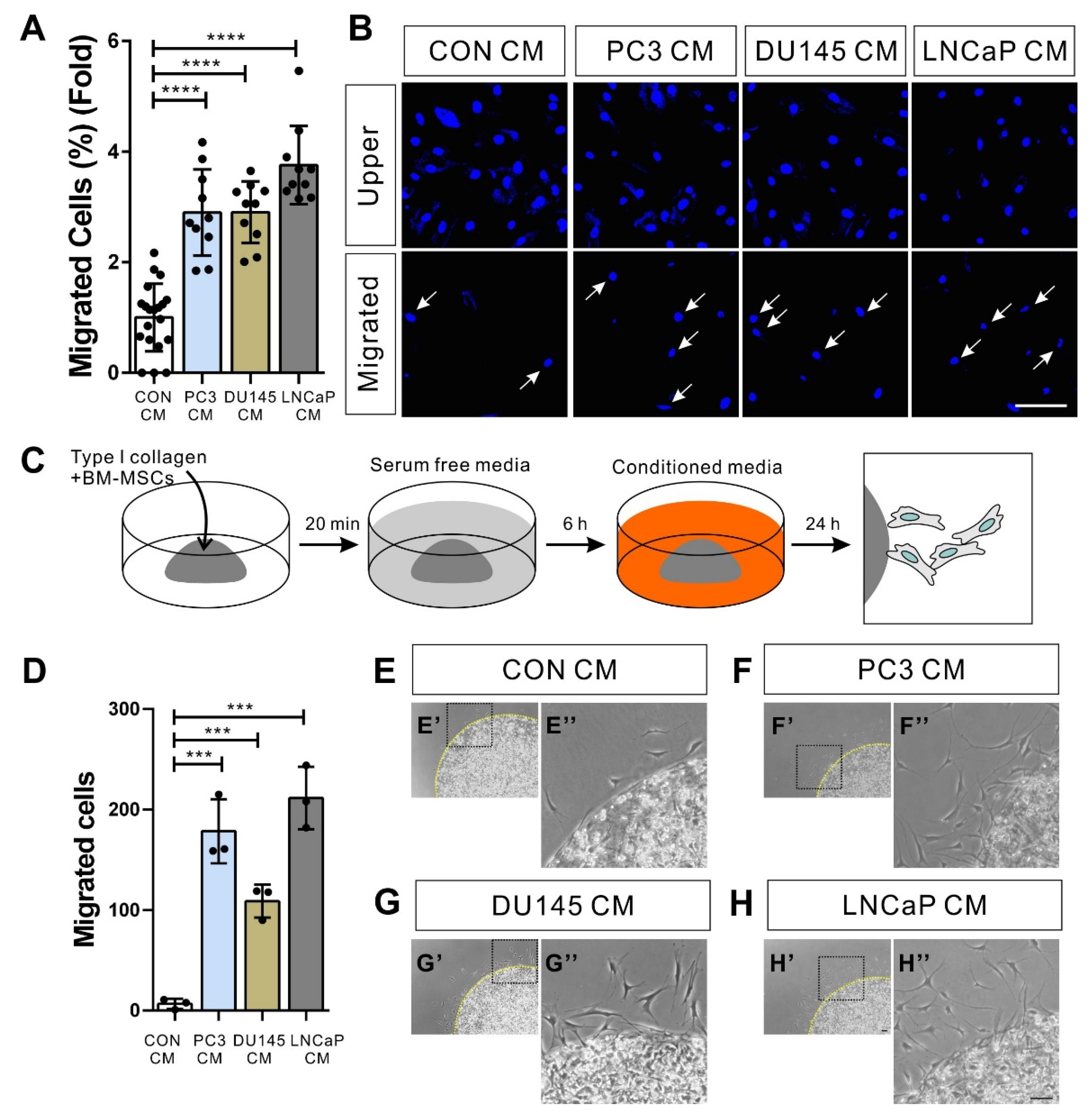 Biomedicines 09 01572 g001