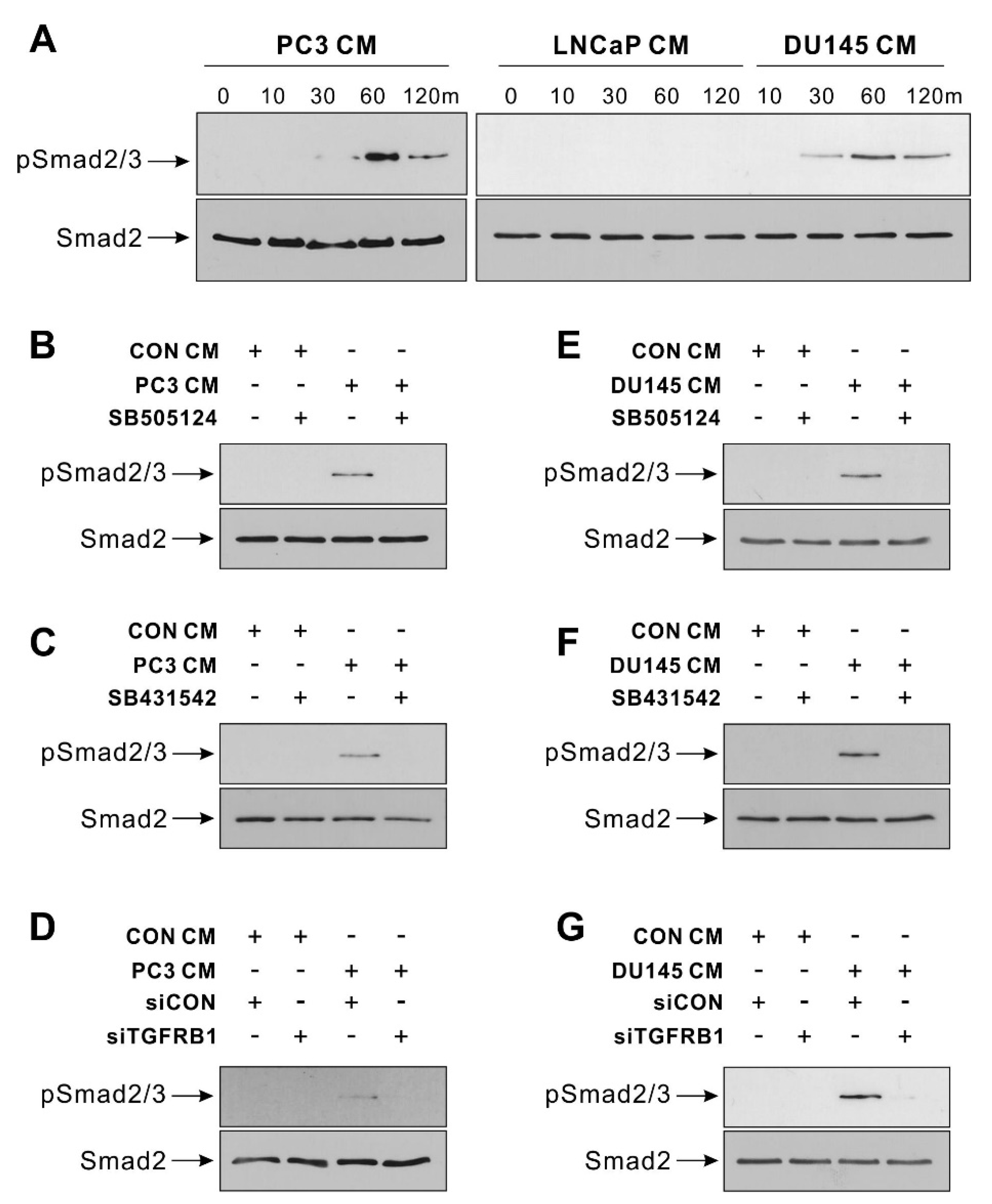 Biomedicines 09 01572 g002