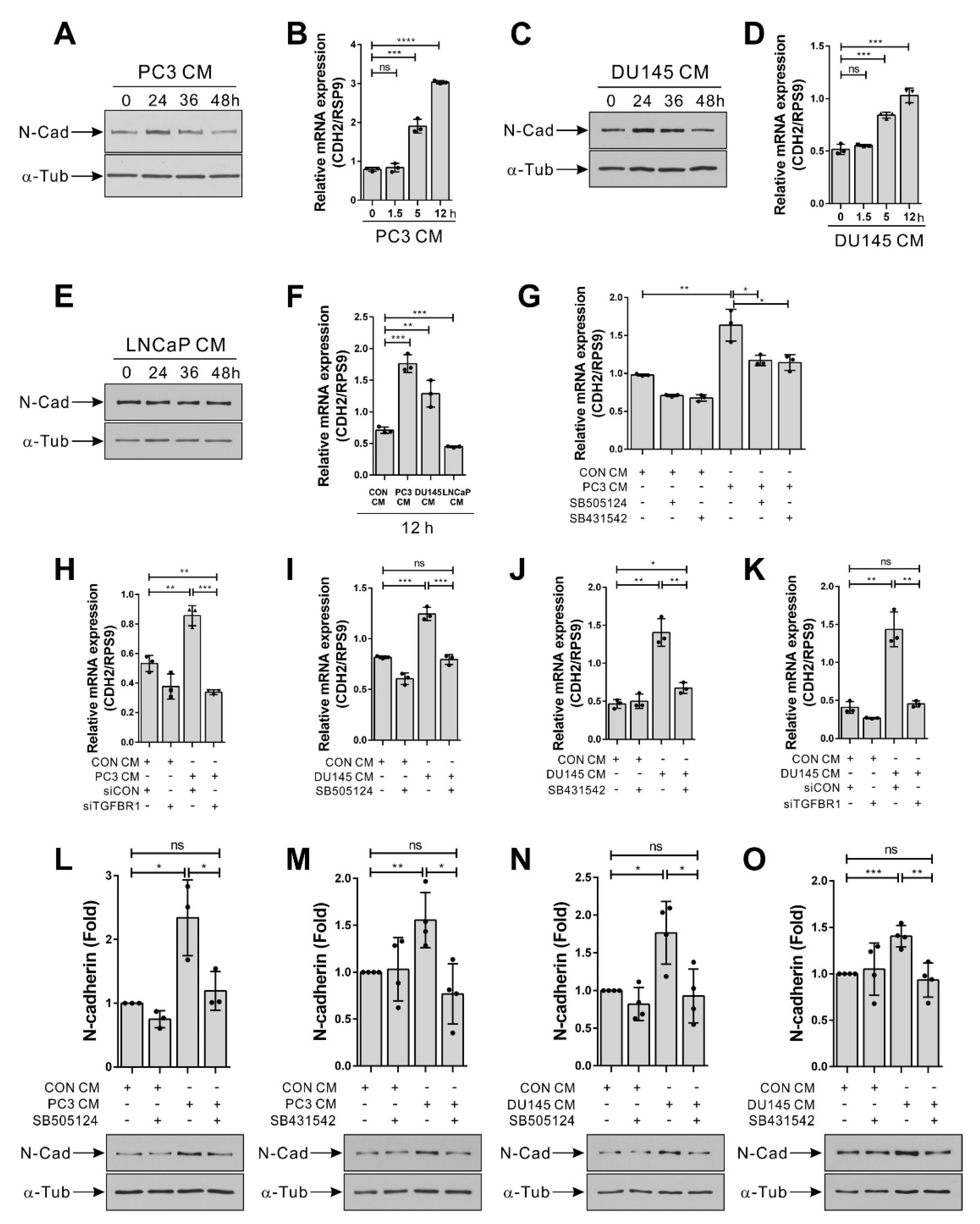 Biomedicines 09 01572 g004