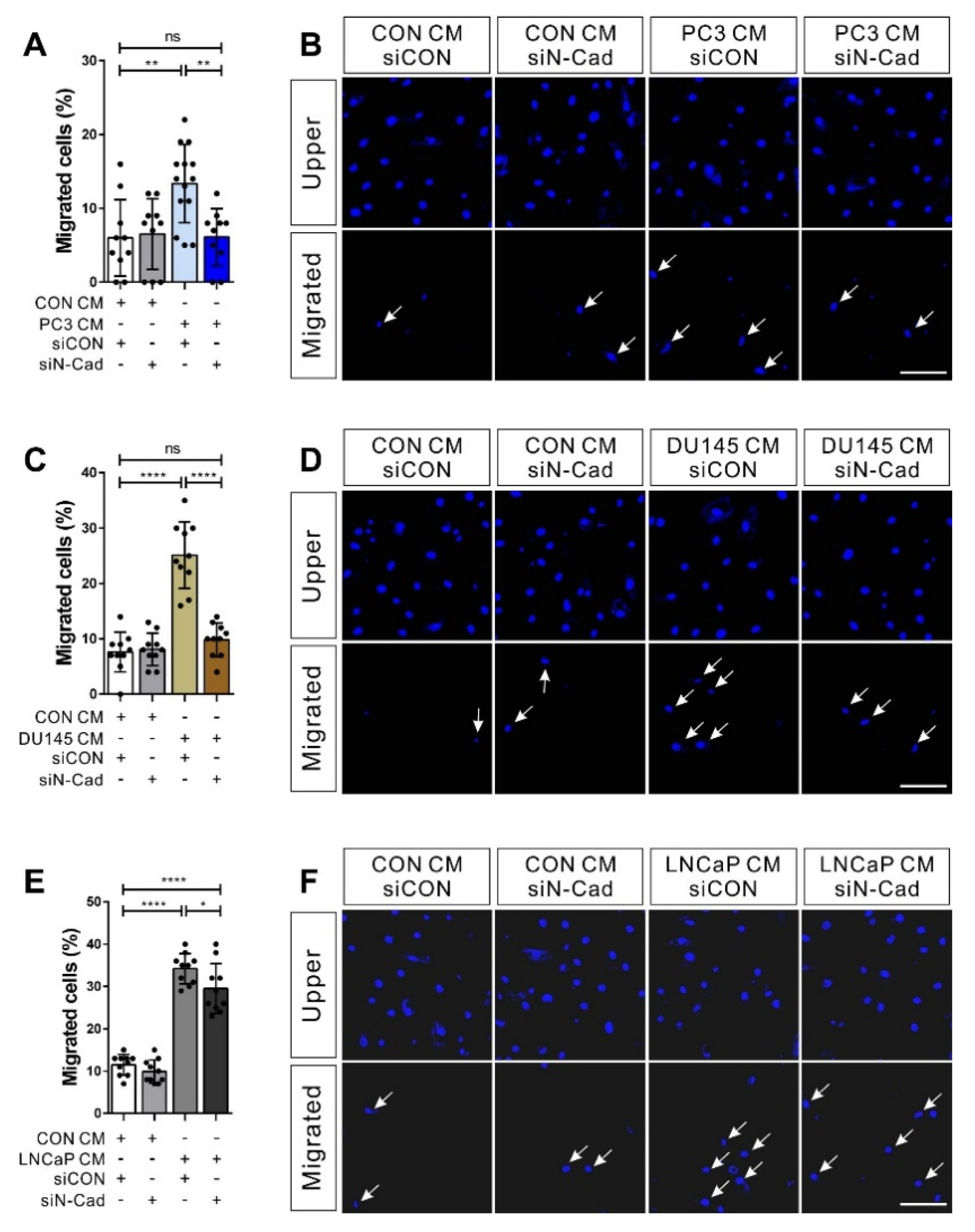 Biomedicines 09 01572 g005