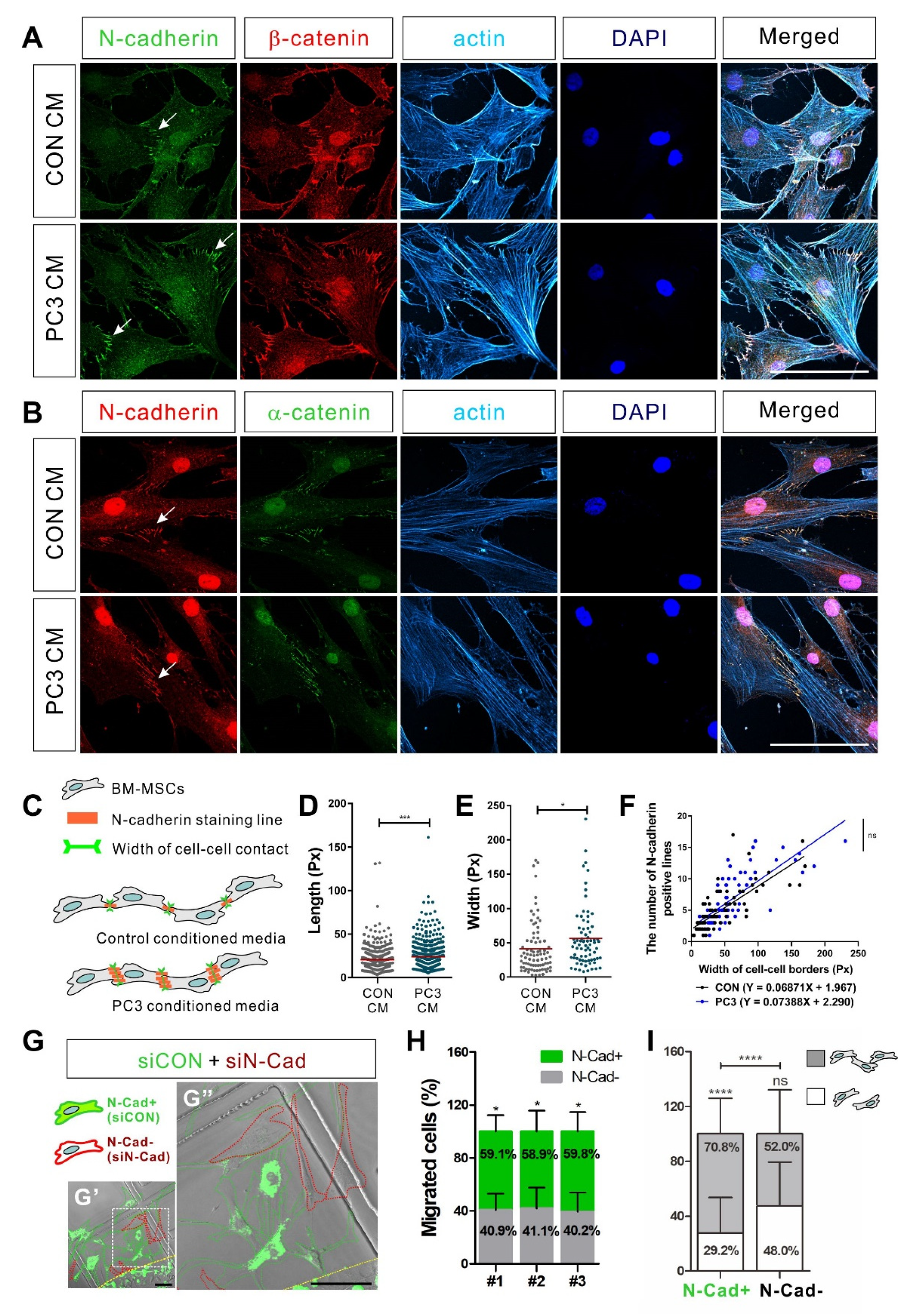 Biomedicines 09 01572 g006