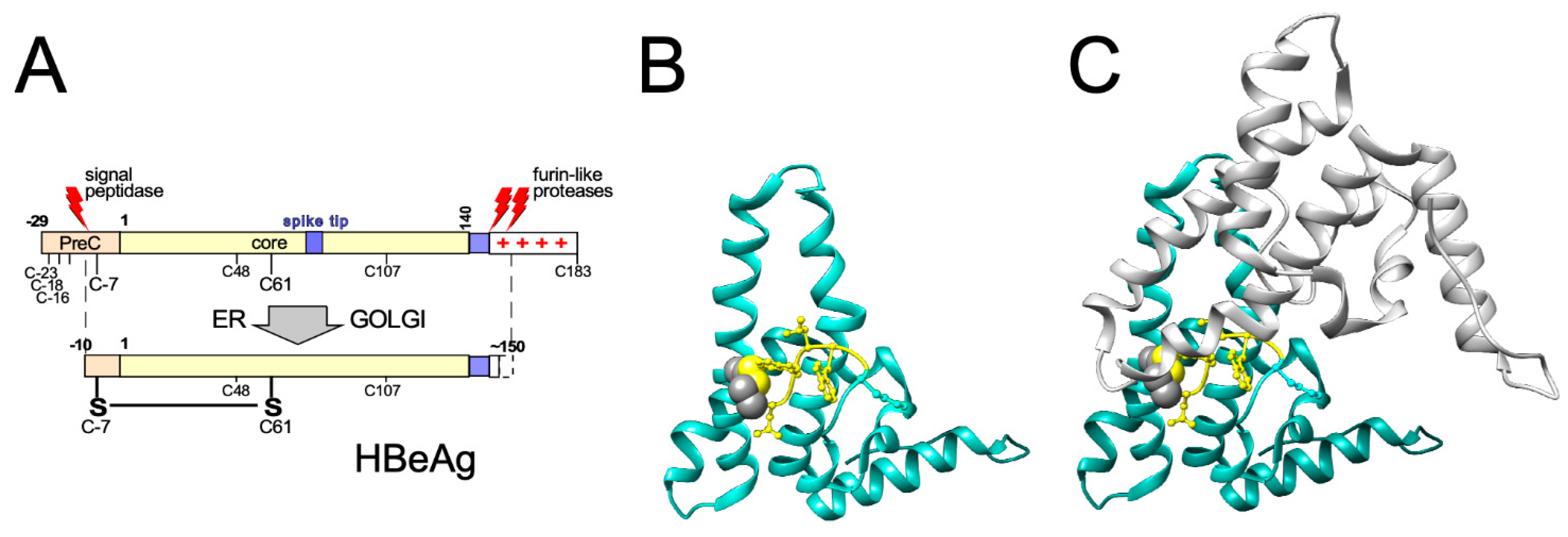 Biomedicines 09 01577 g005 Biomedicines 09 01577 g005