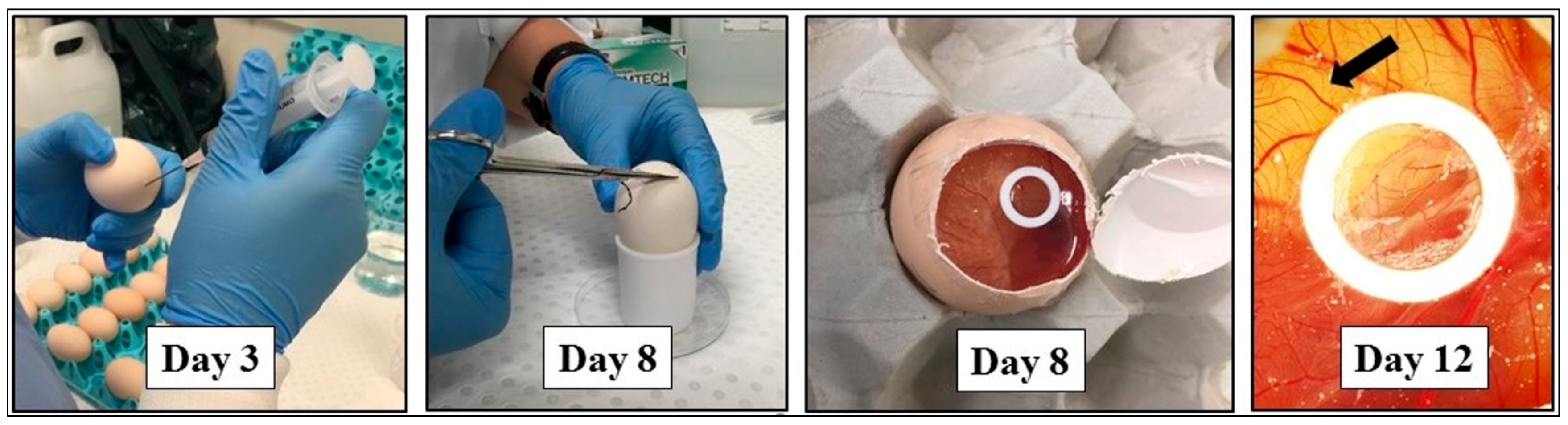 Biomedicines 09 01578 g0a11 Biomedicines 09 01578 g0a11