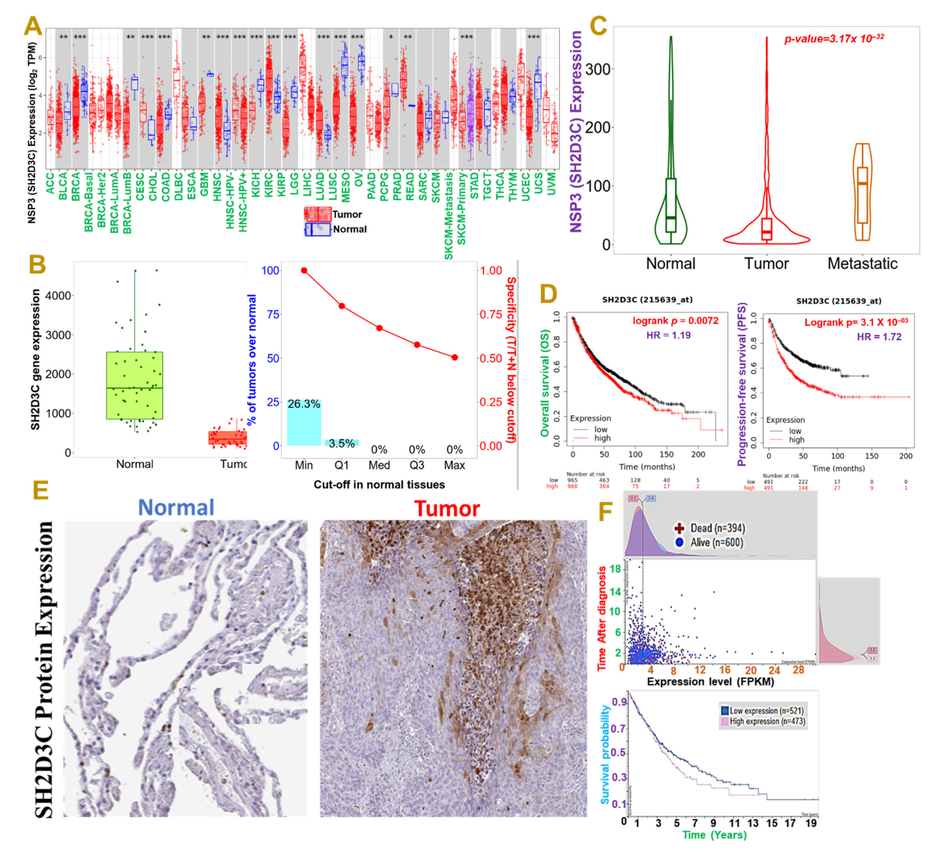 Biomedicines 09 01582 g001