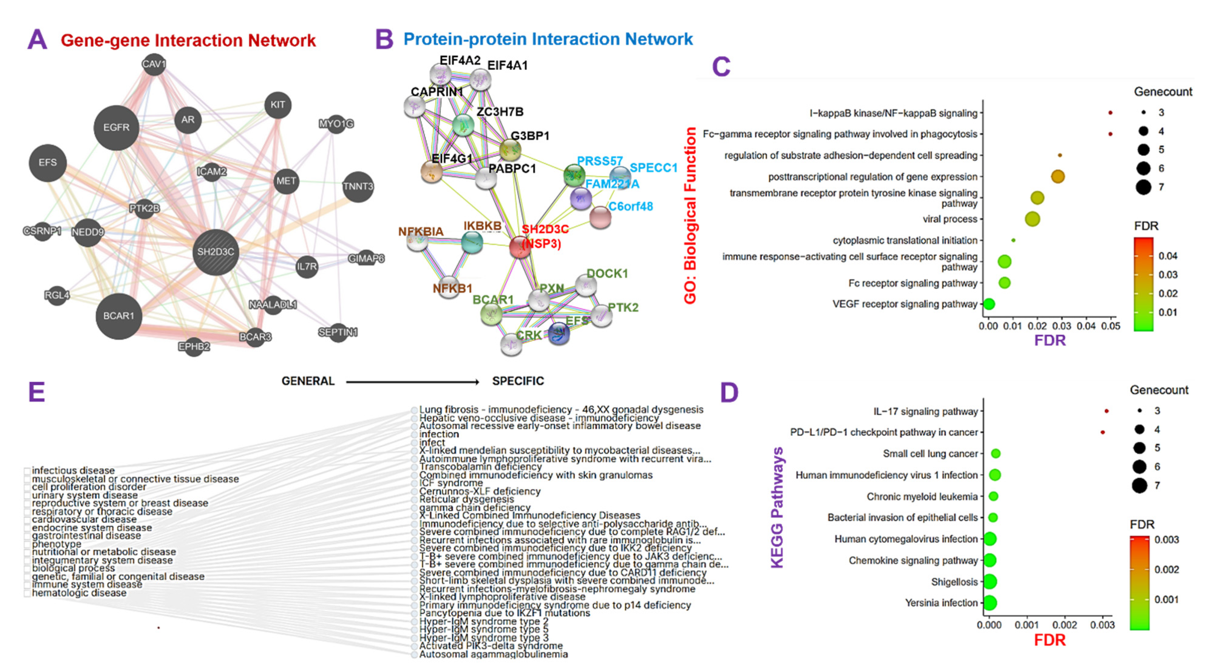 Biomedicines 09 01582 g003