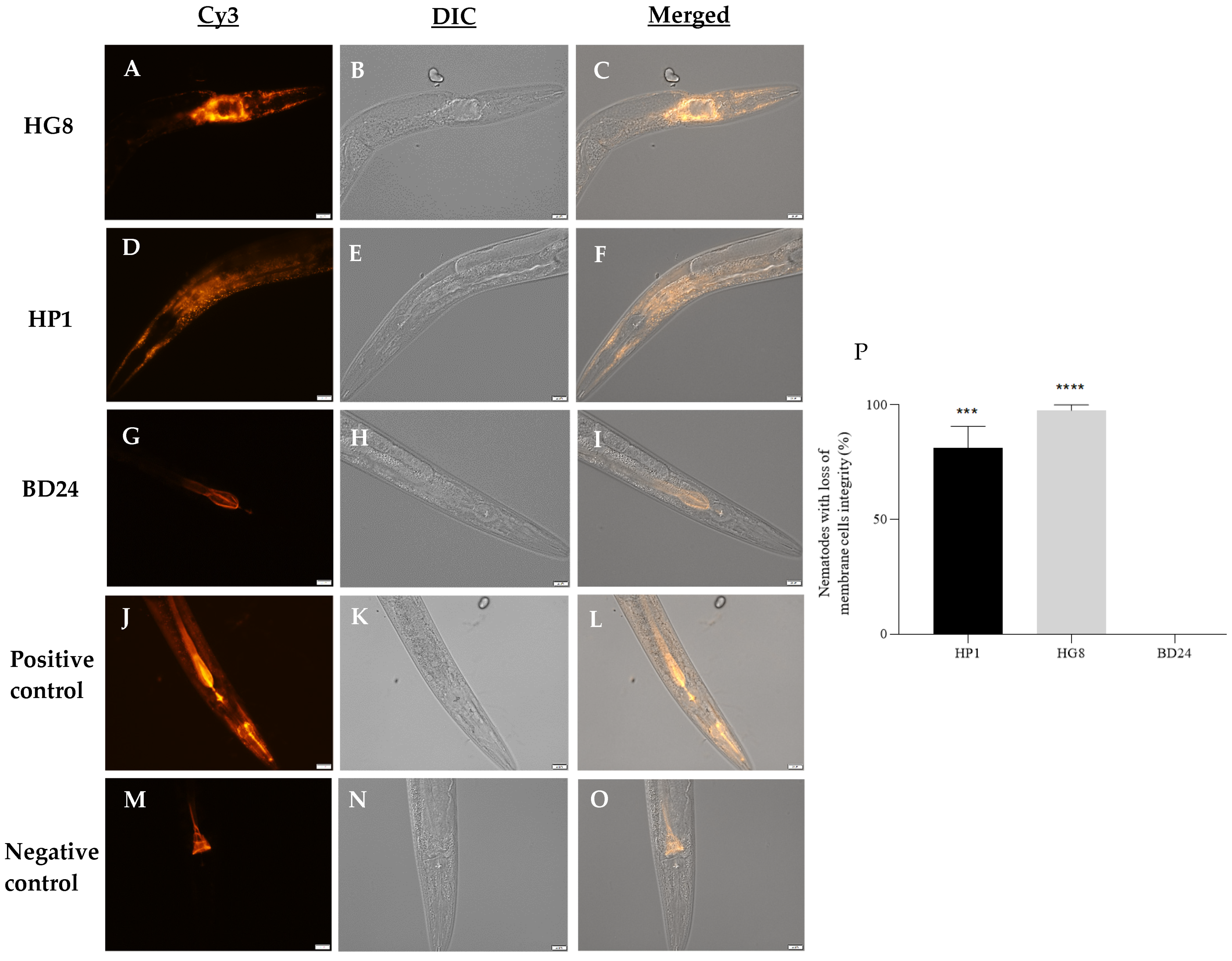 Biomedicines 09 01586 g005 Biomedicines 09 01586 g005