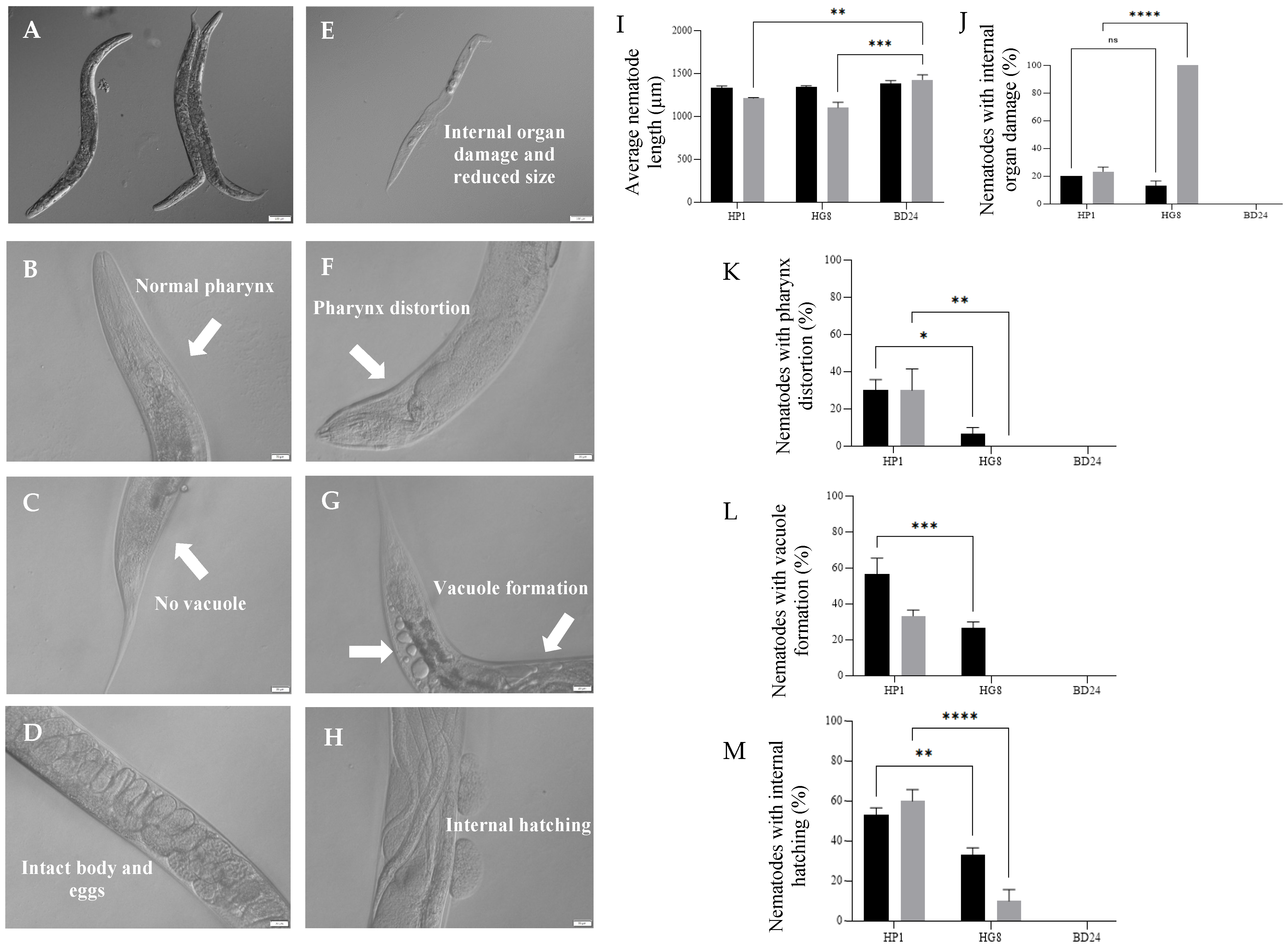 Biomedicines 09 01586 g007 Biomedicines 09 01586 g007
