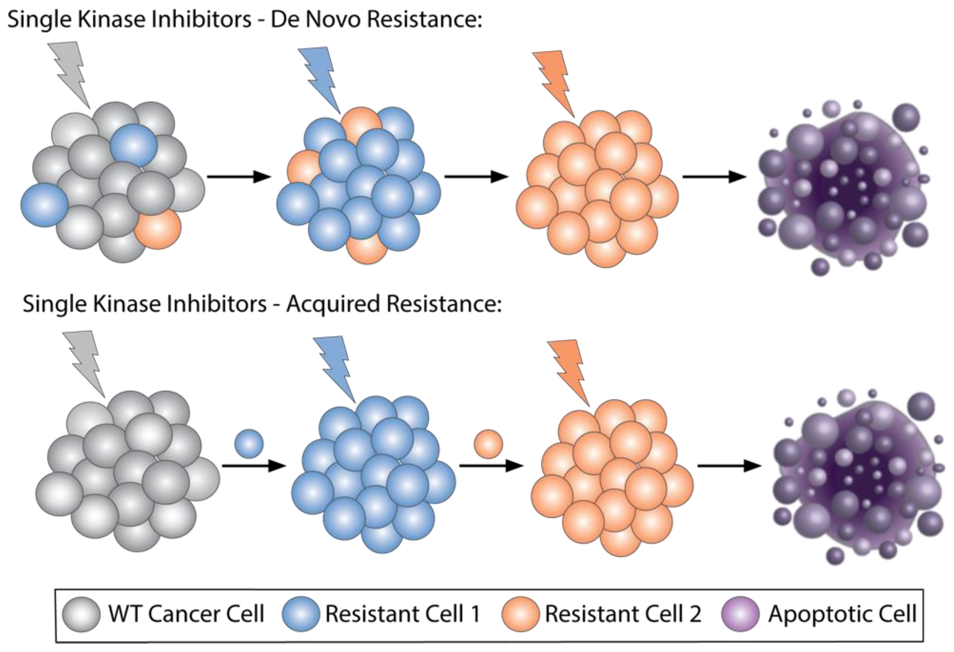 Biomedicines 09 01591 g001