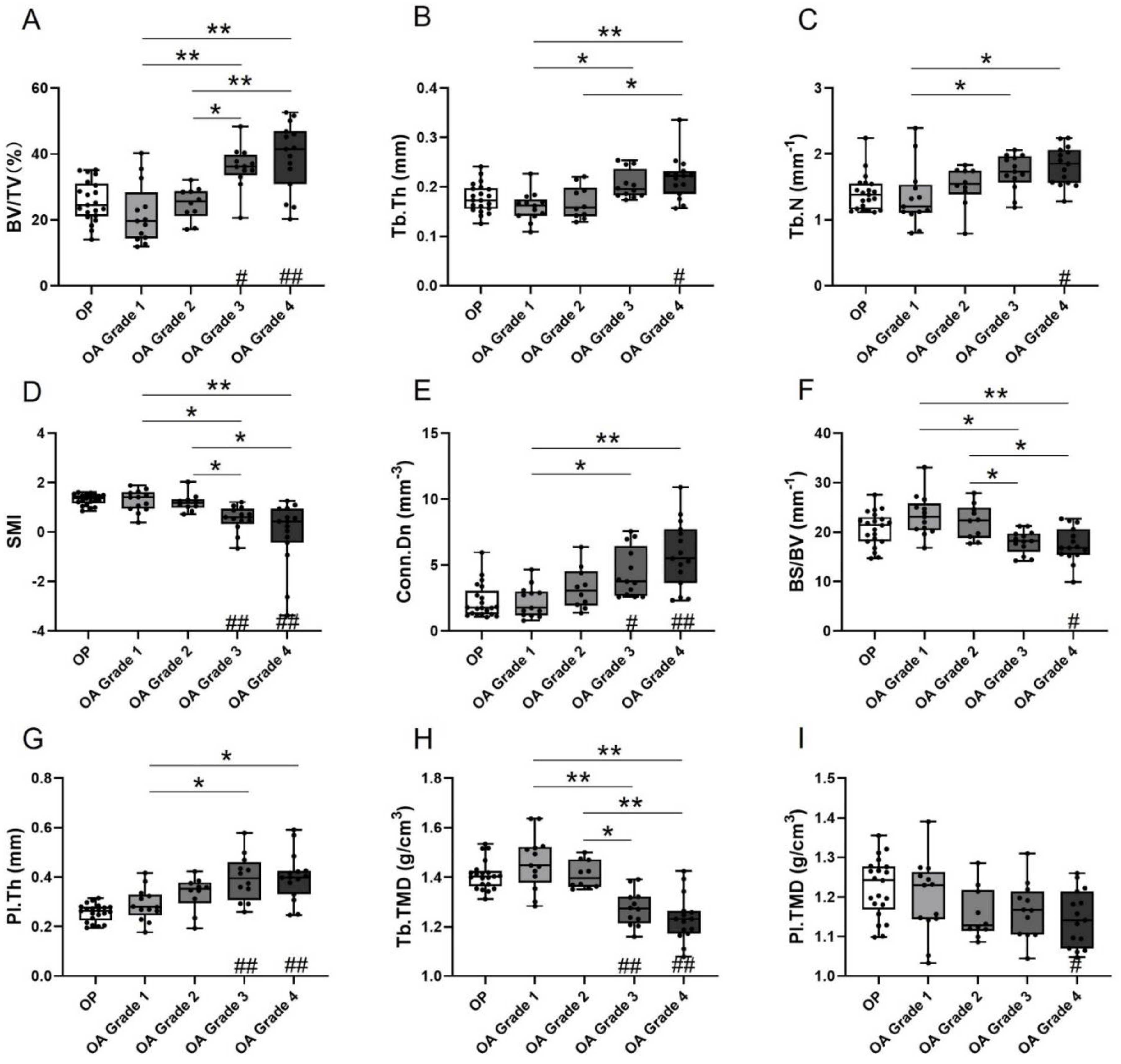 Biomedicines 09 01593 g002 550