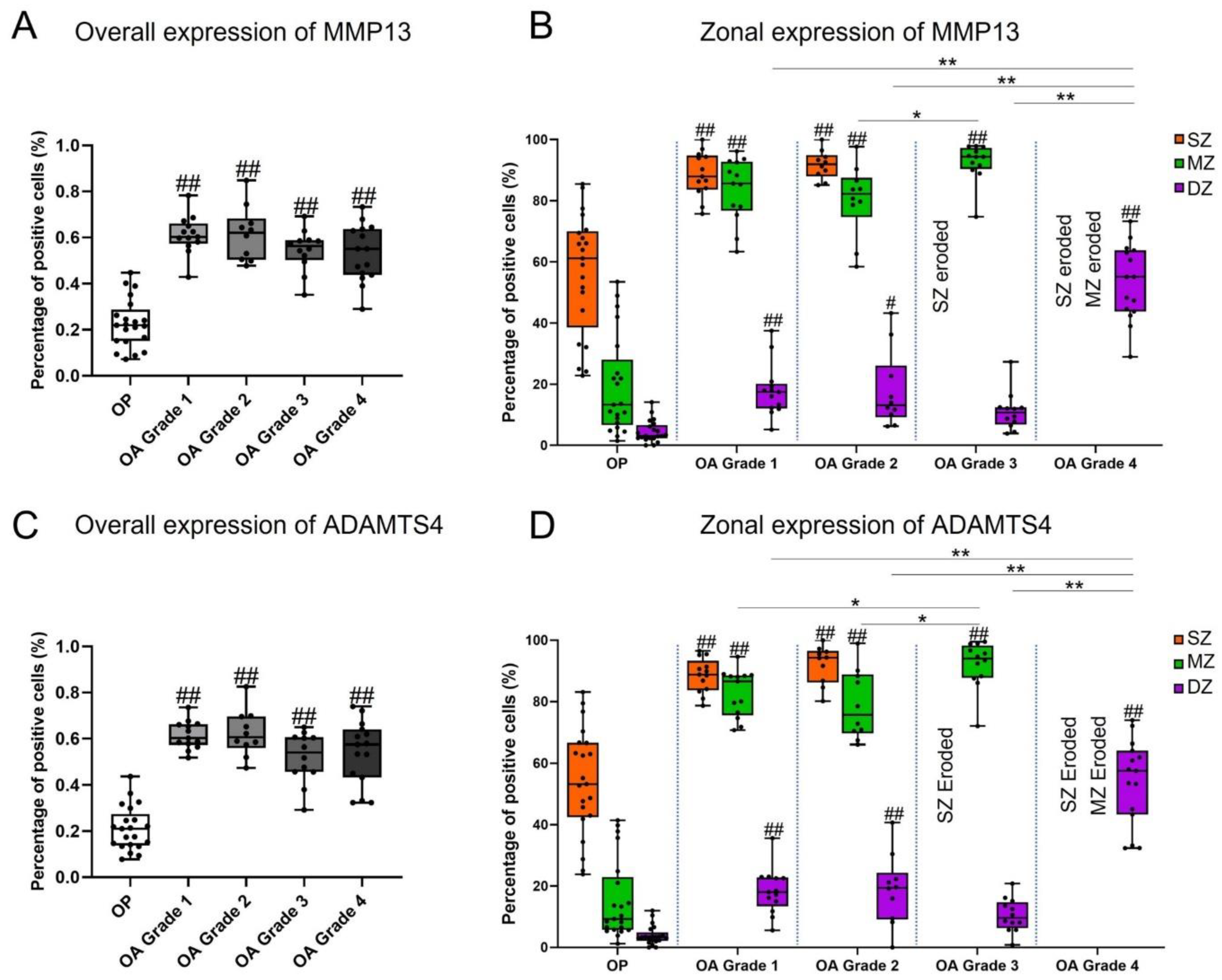 Biomedicines 09 01593 g003 550