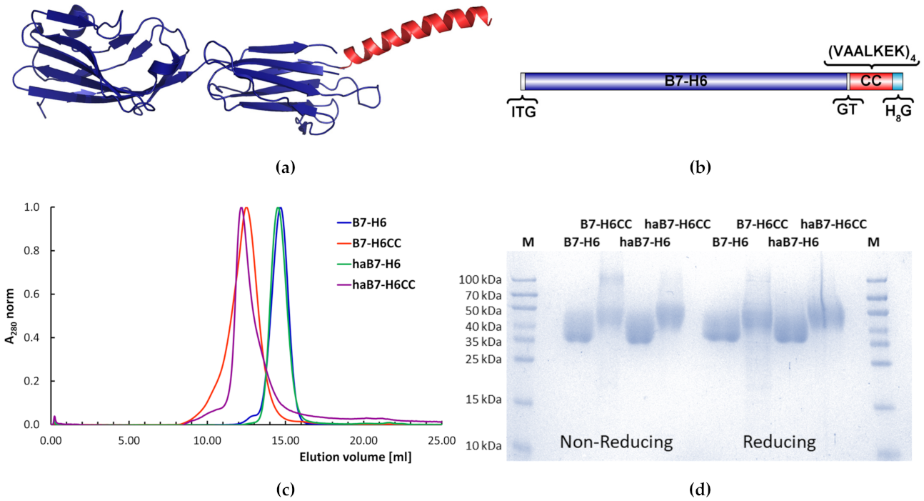 Biomedicines 09 01597 g001 550