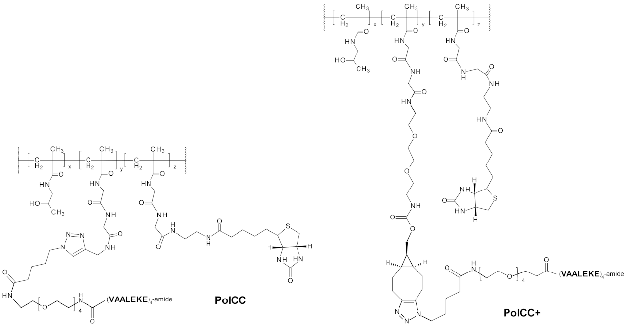 Biomedicines 09 01597 sch001 550