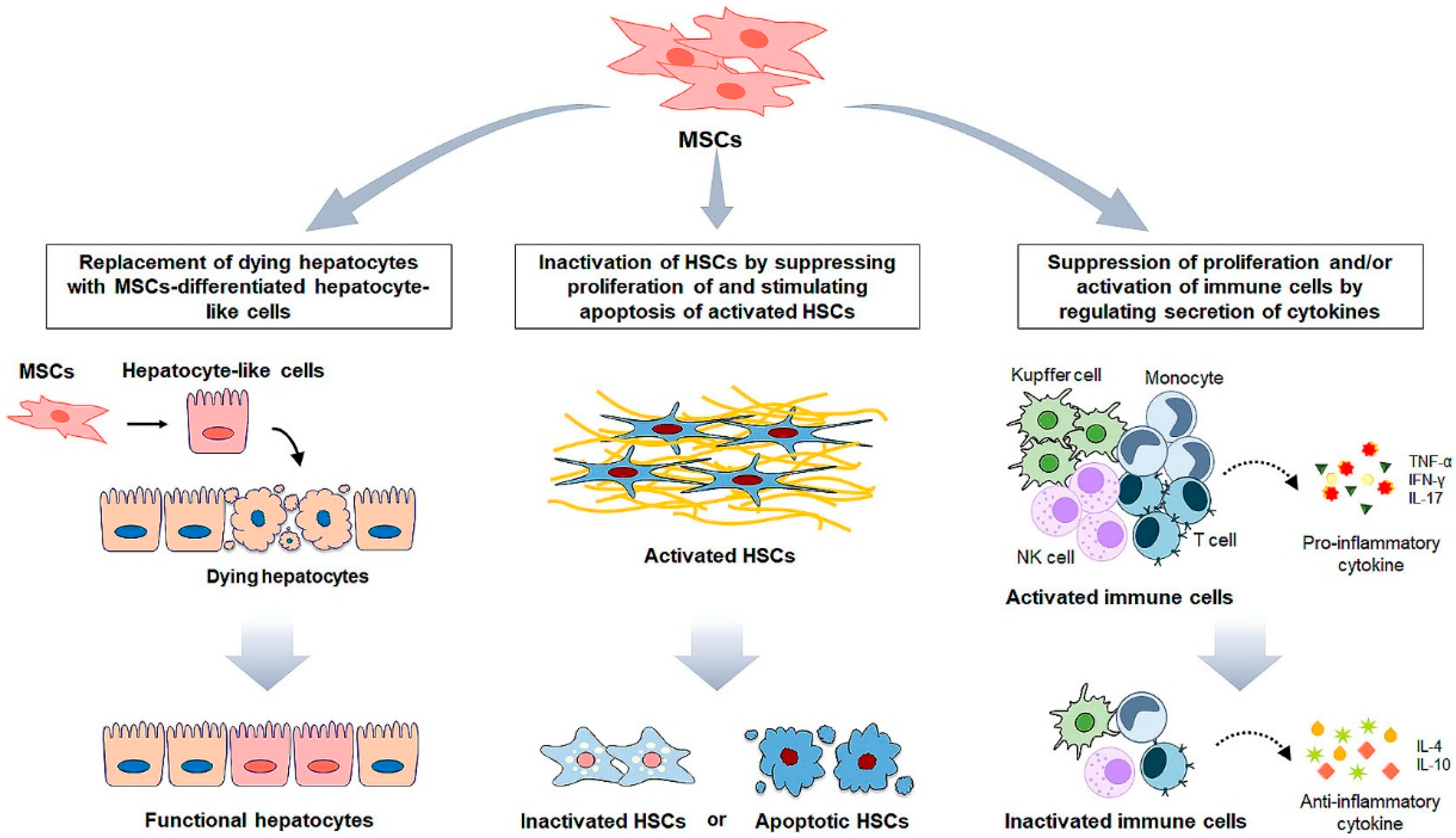 Biomedicines 09 01598 g002 Biomedicines 09 01598 g002