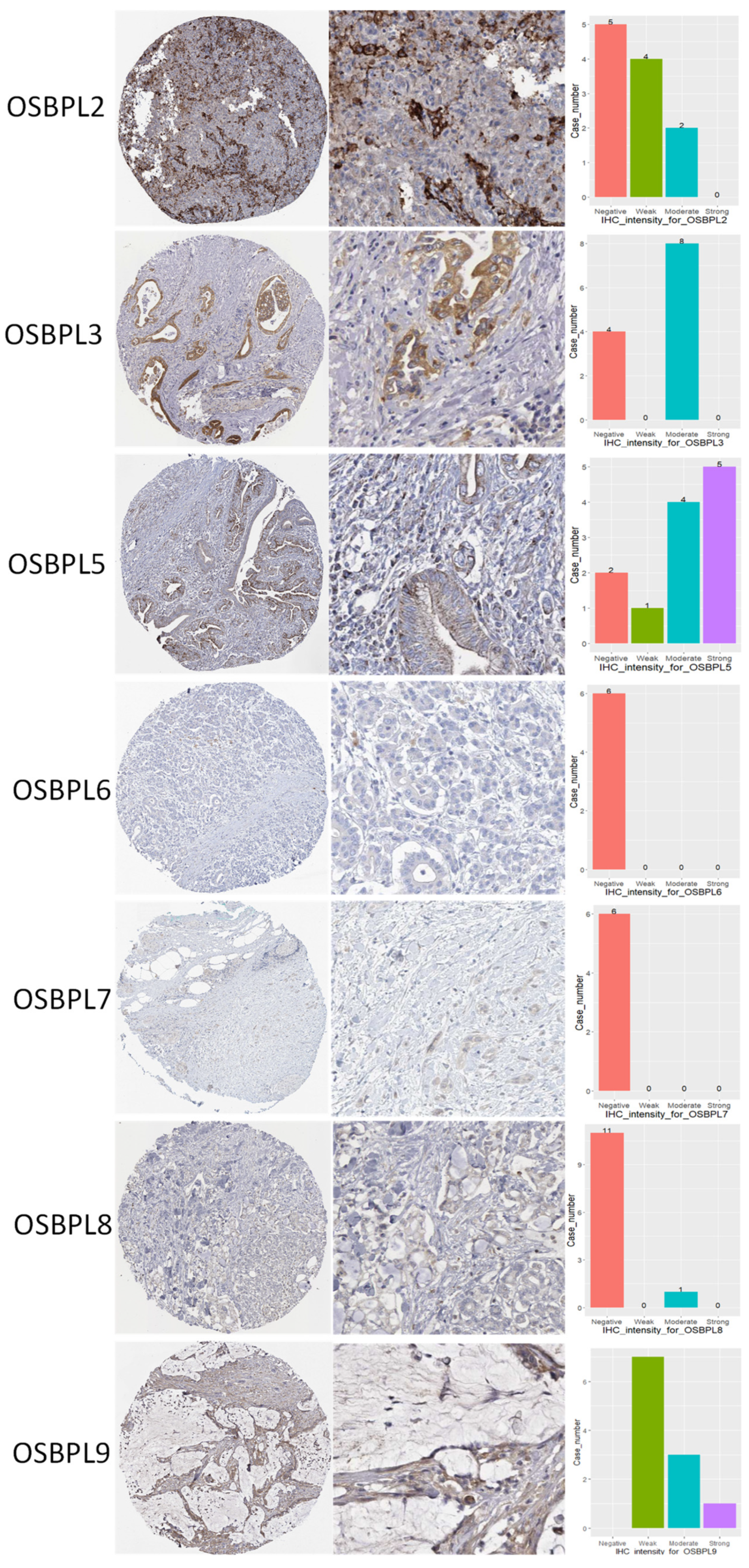 Biomedicines 09 01601 g005 550