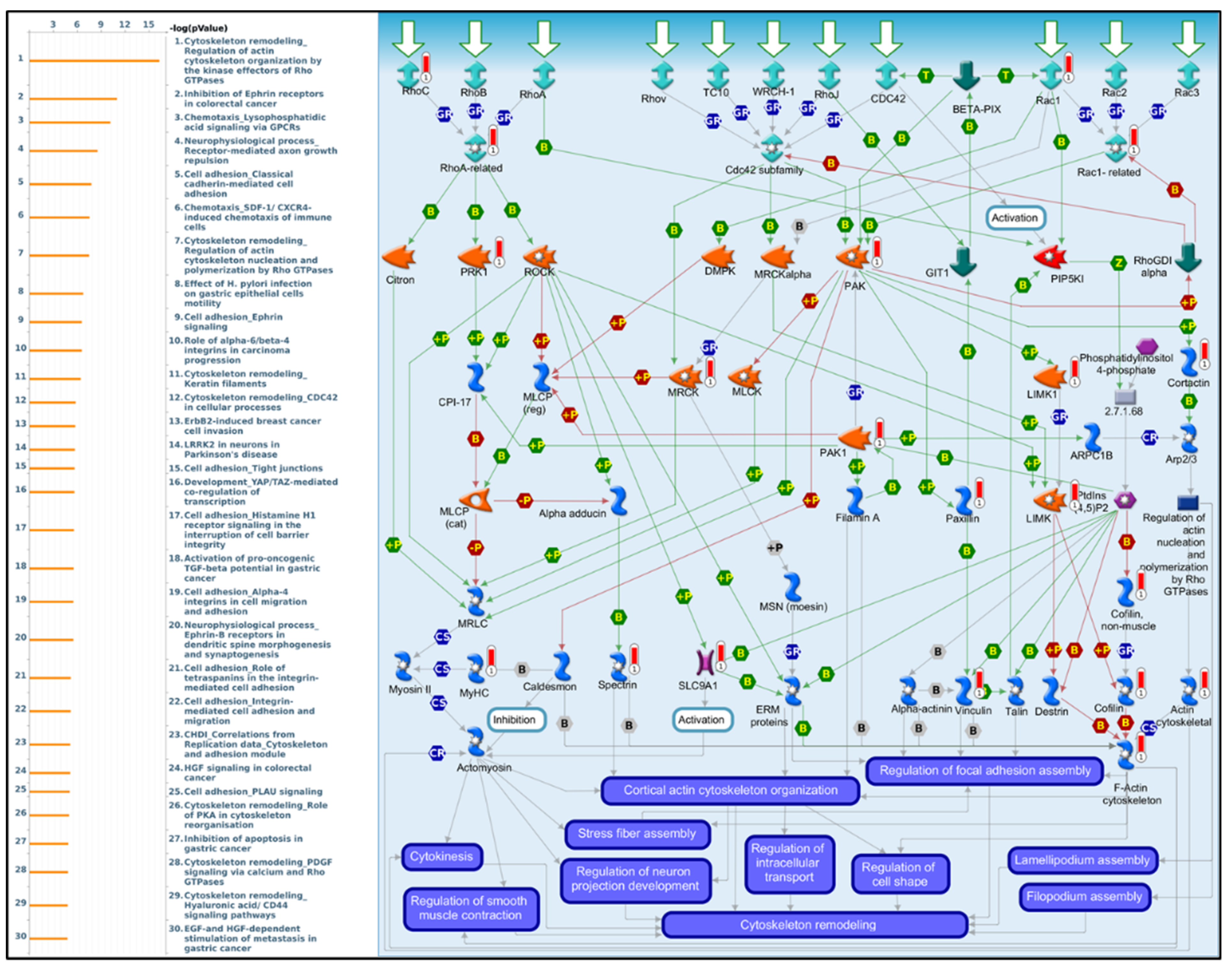 Biomedicines 09 01601 g009 550