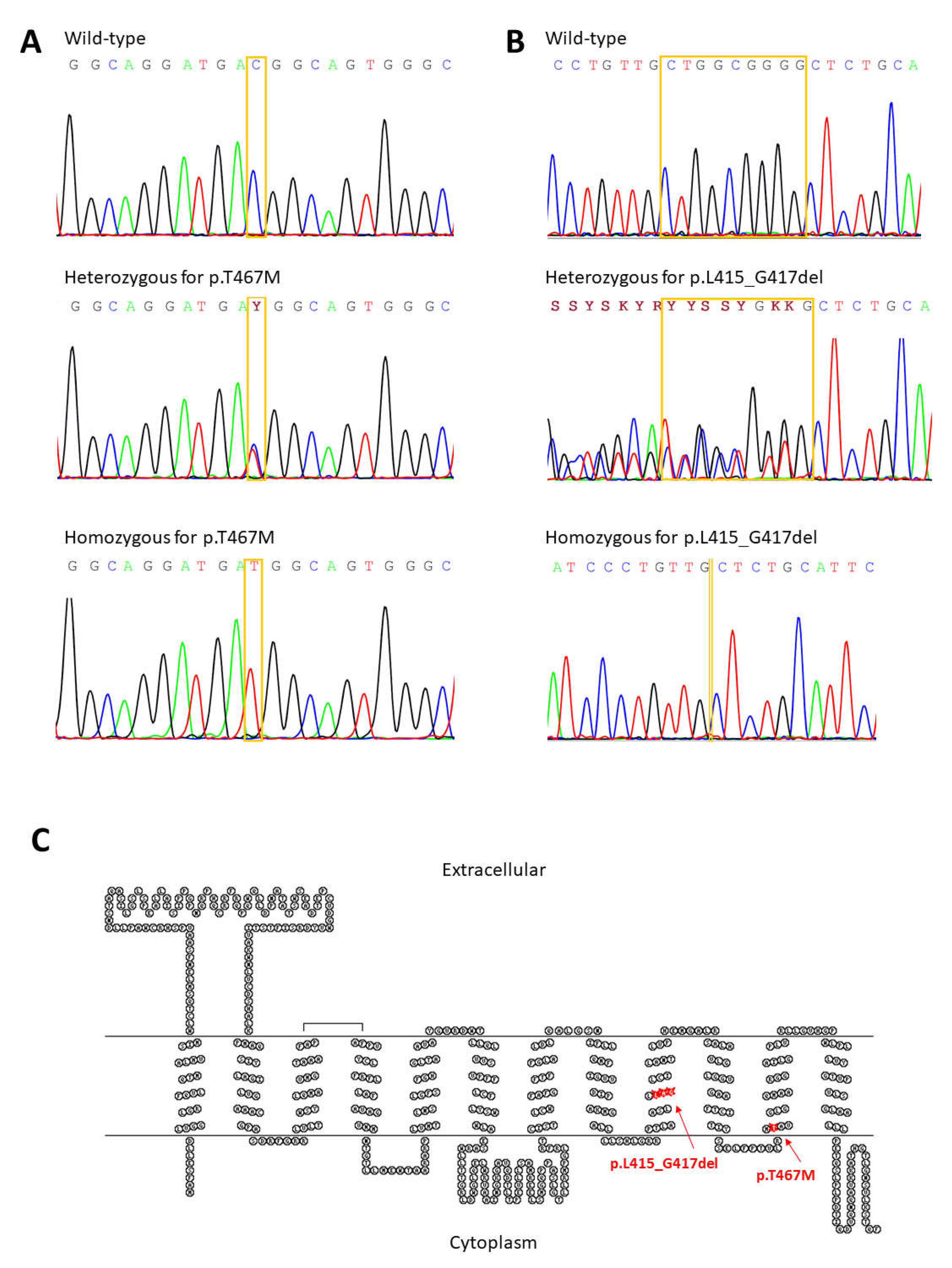 Biomedicines 09 01607 g001