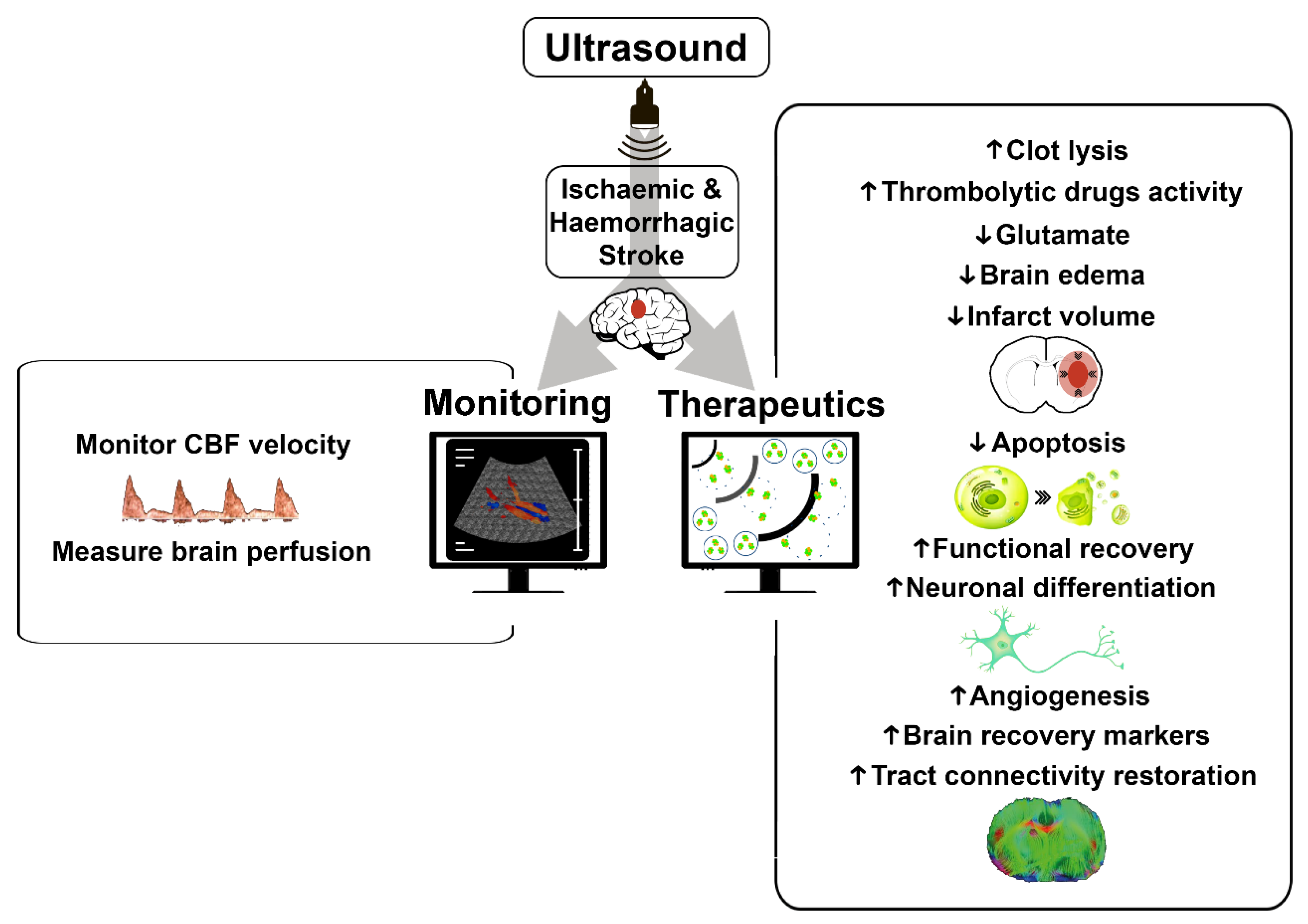 Biomedicines 09 01609 g001 550