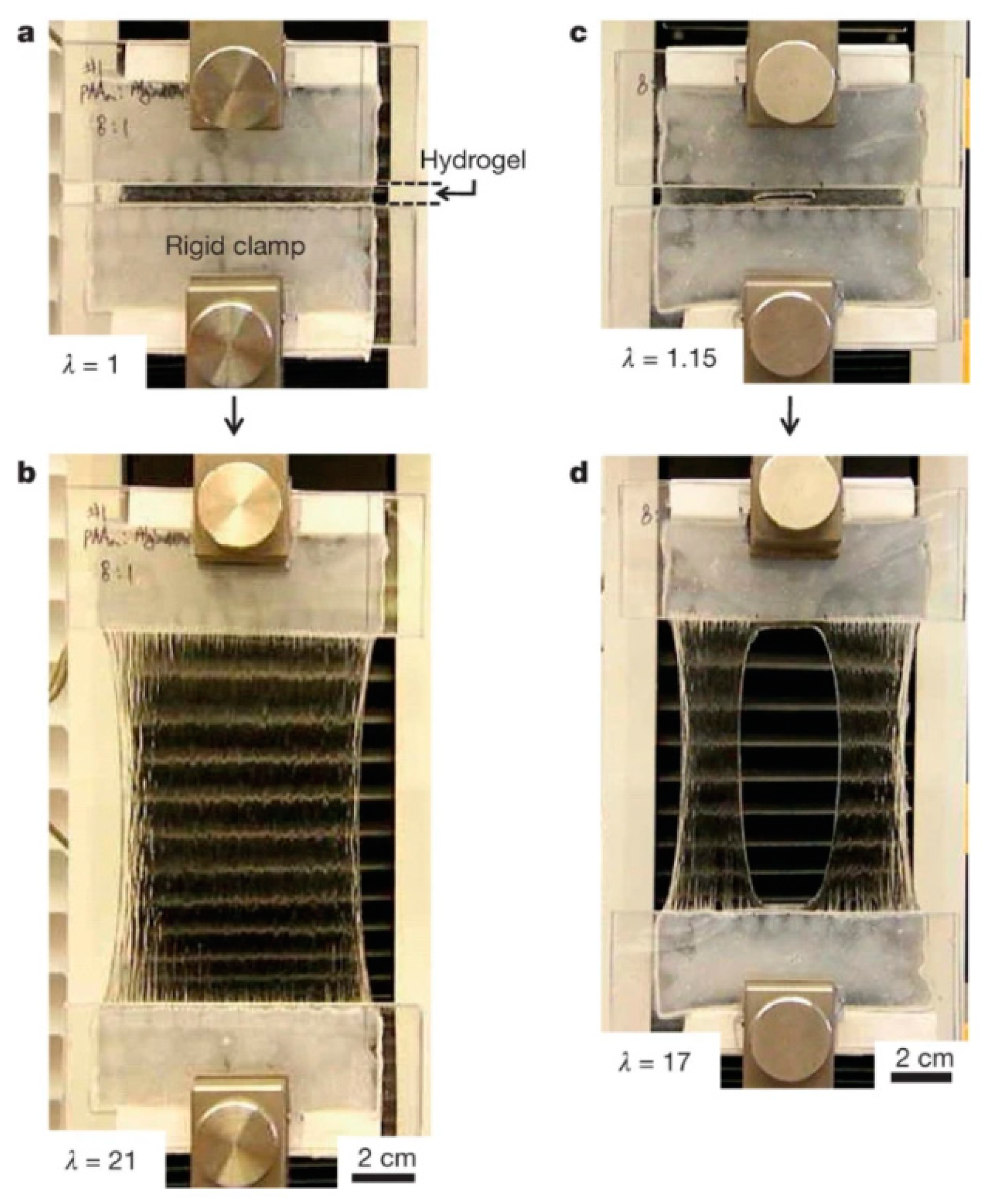 Biomedicines 09 01612 g002