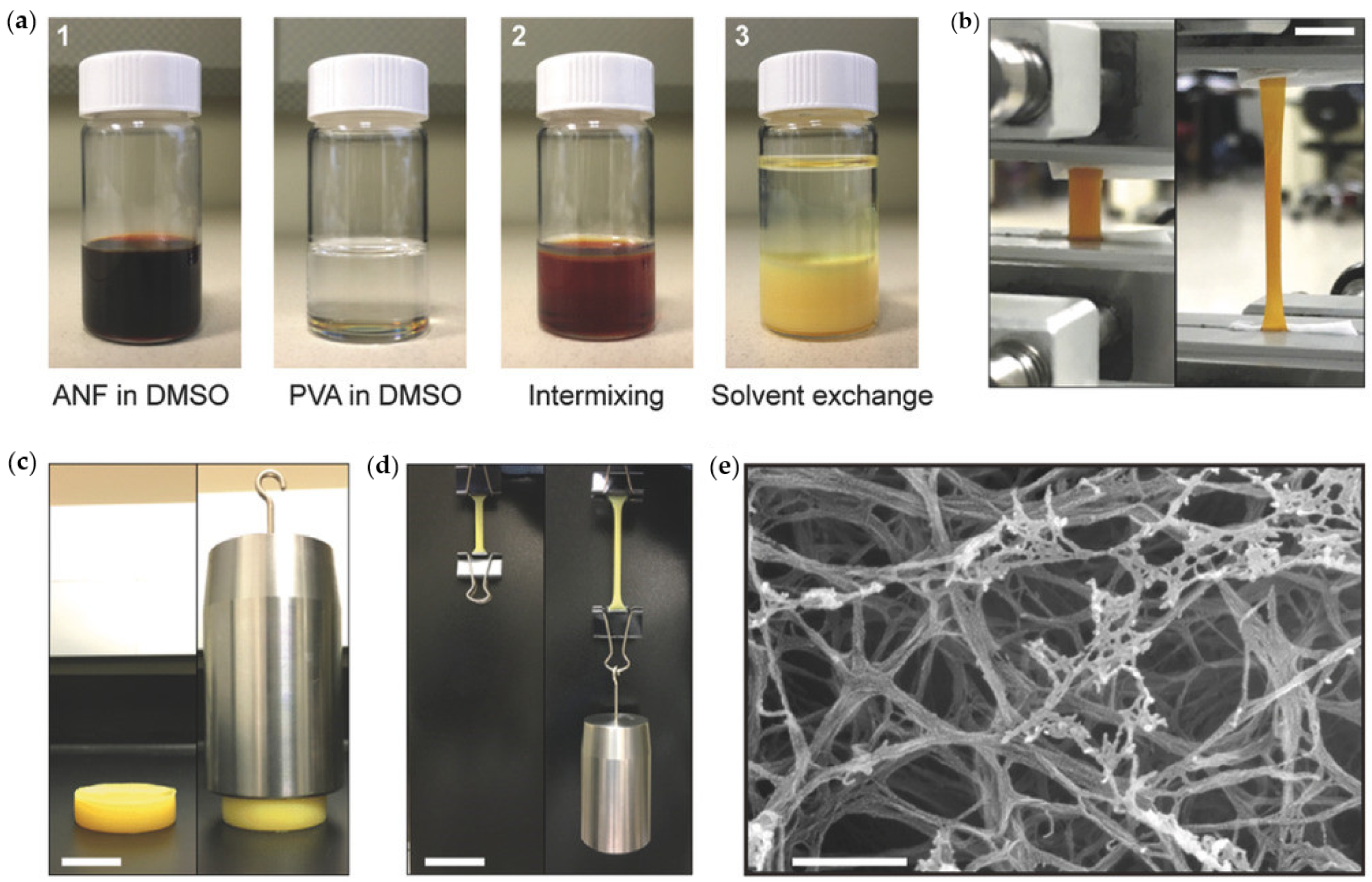 Biomedicines 09 01612 g007