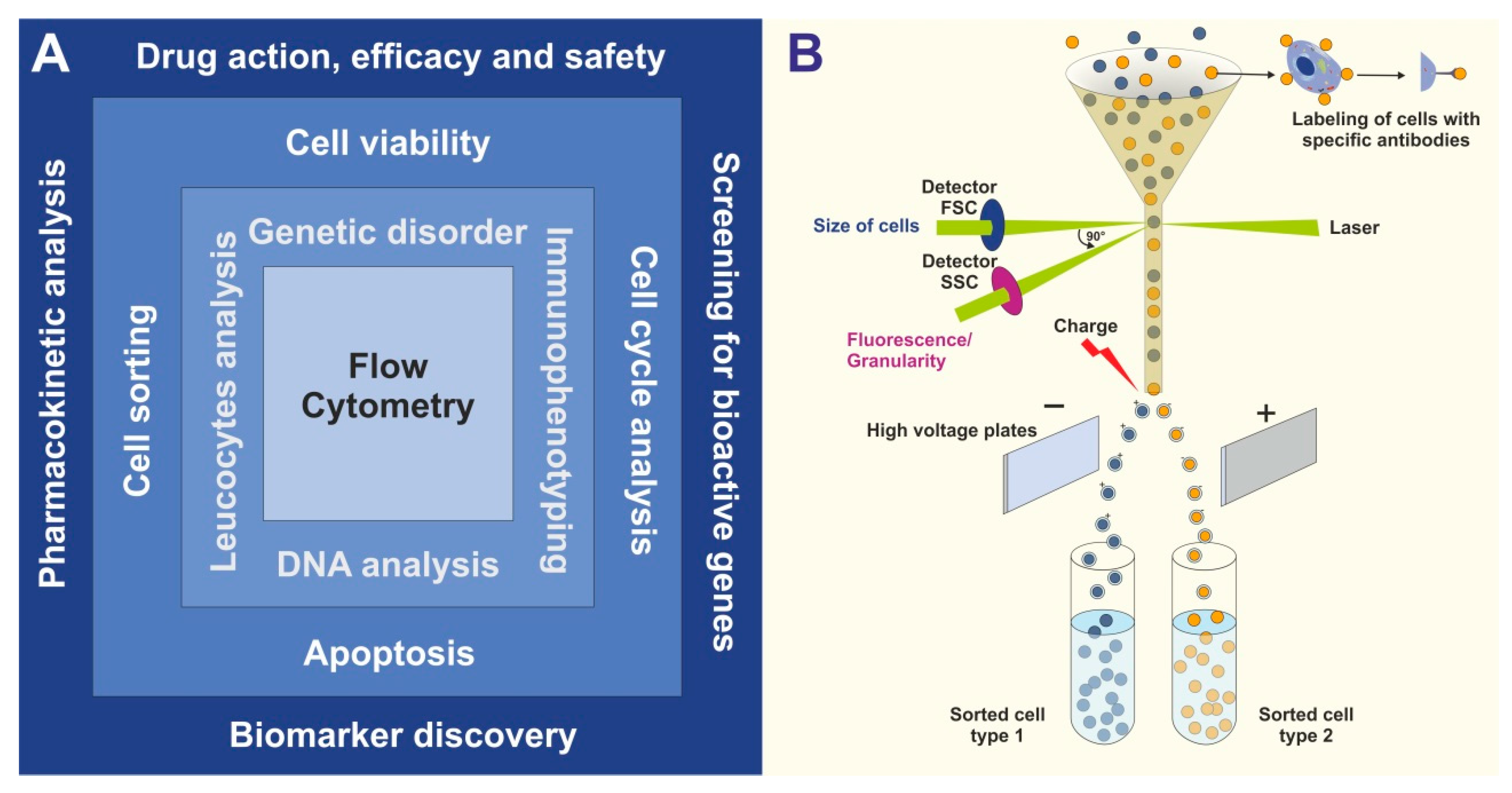 flow cytometry test questions