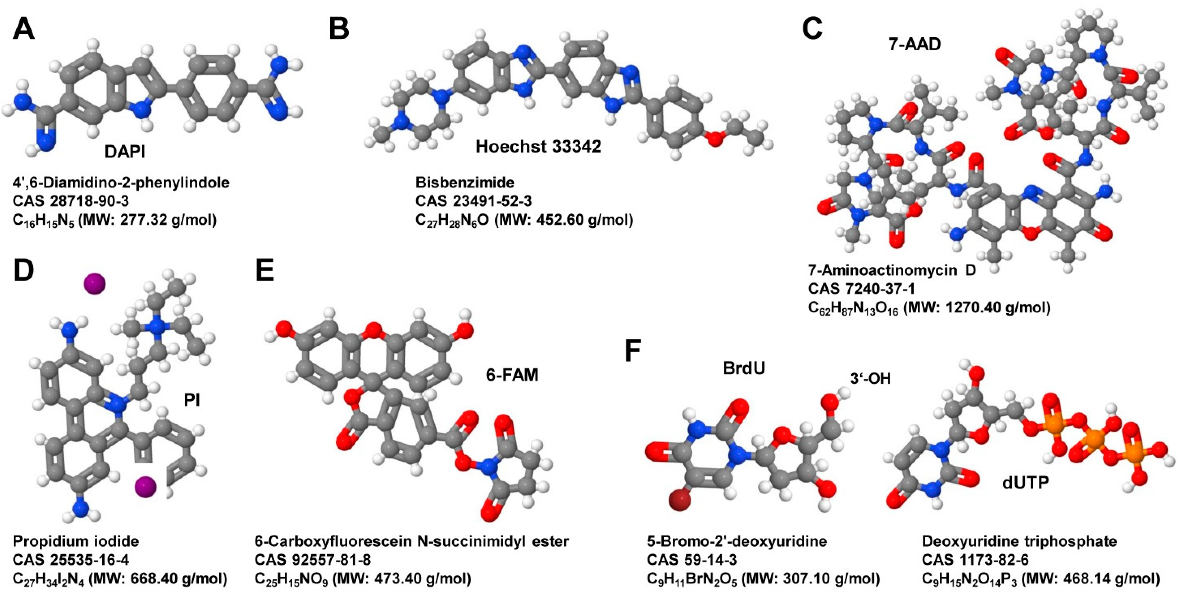 Biomedicines 09 01613 g002 550