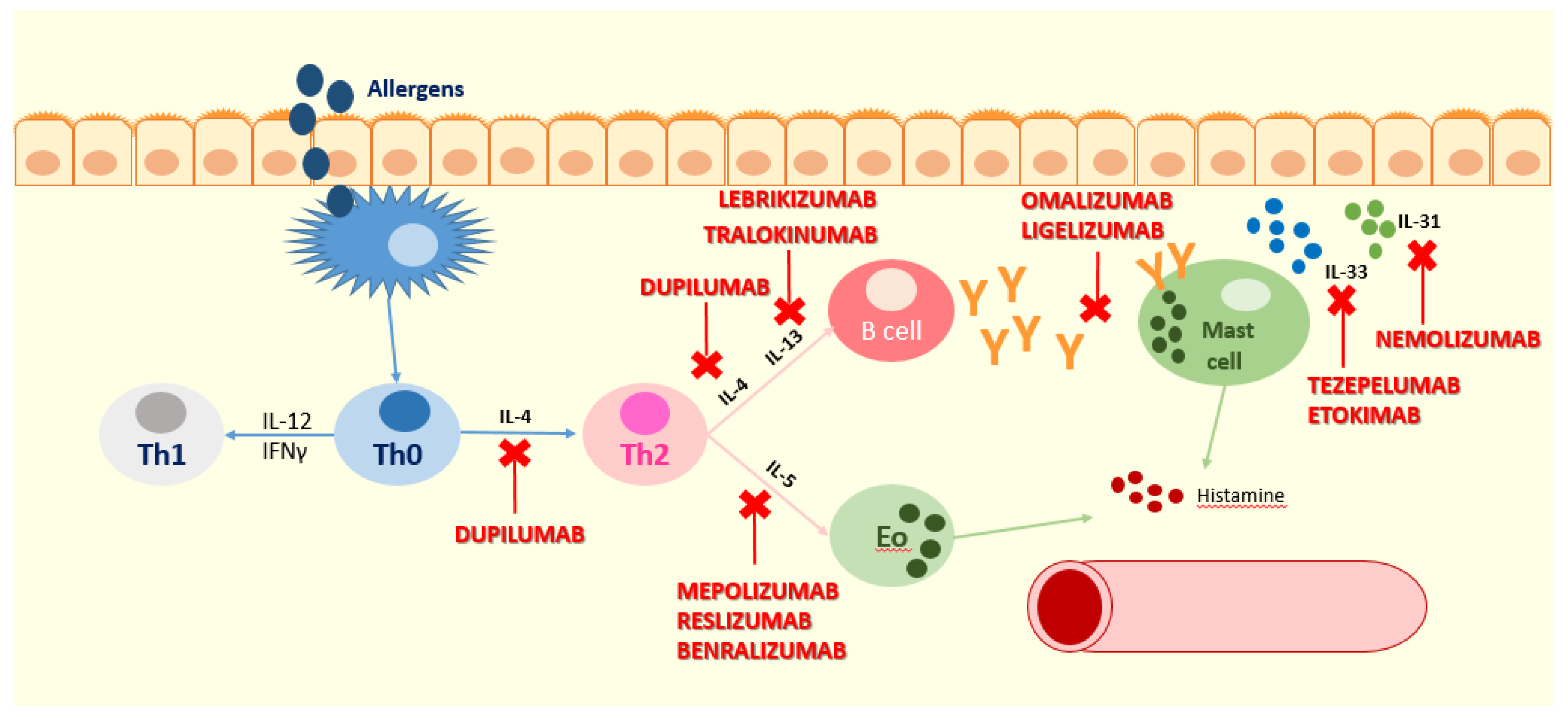 Biomedicines 09 01615 g001 550