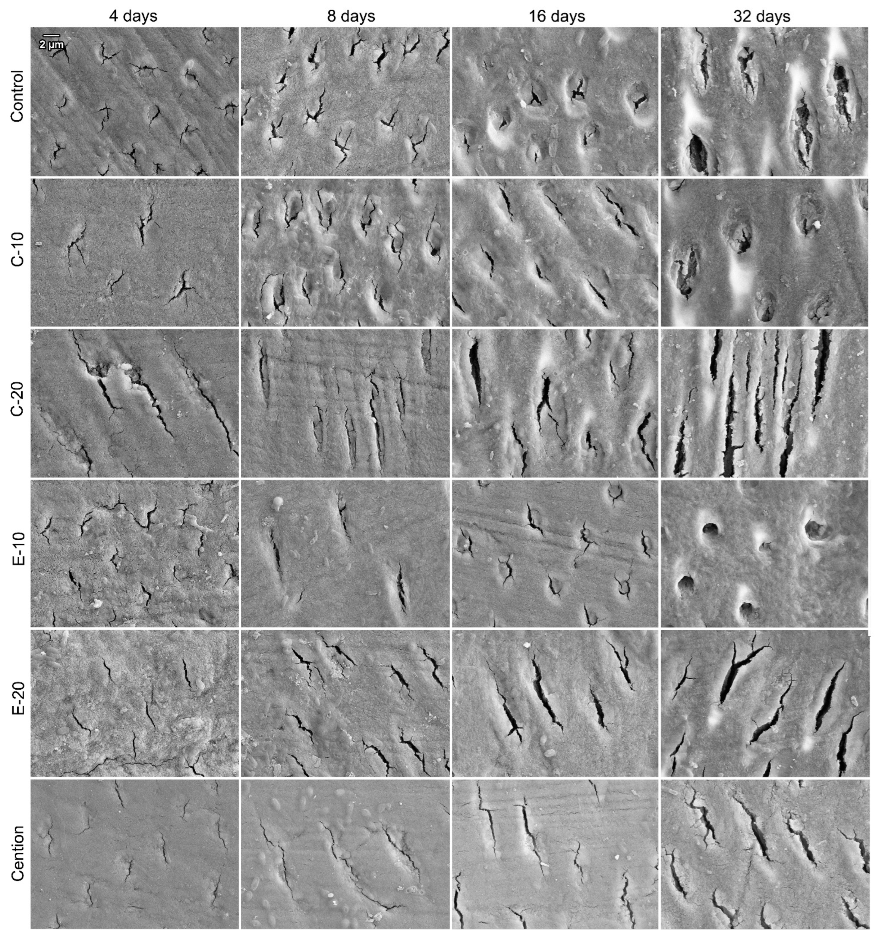 Biomedicines 09 01616 g004 550