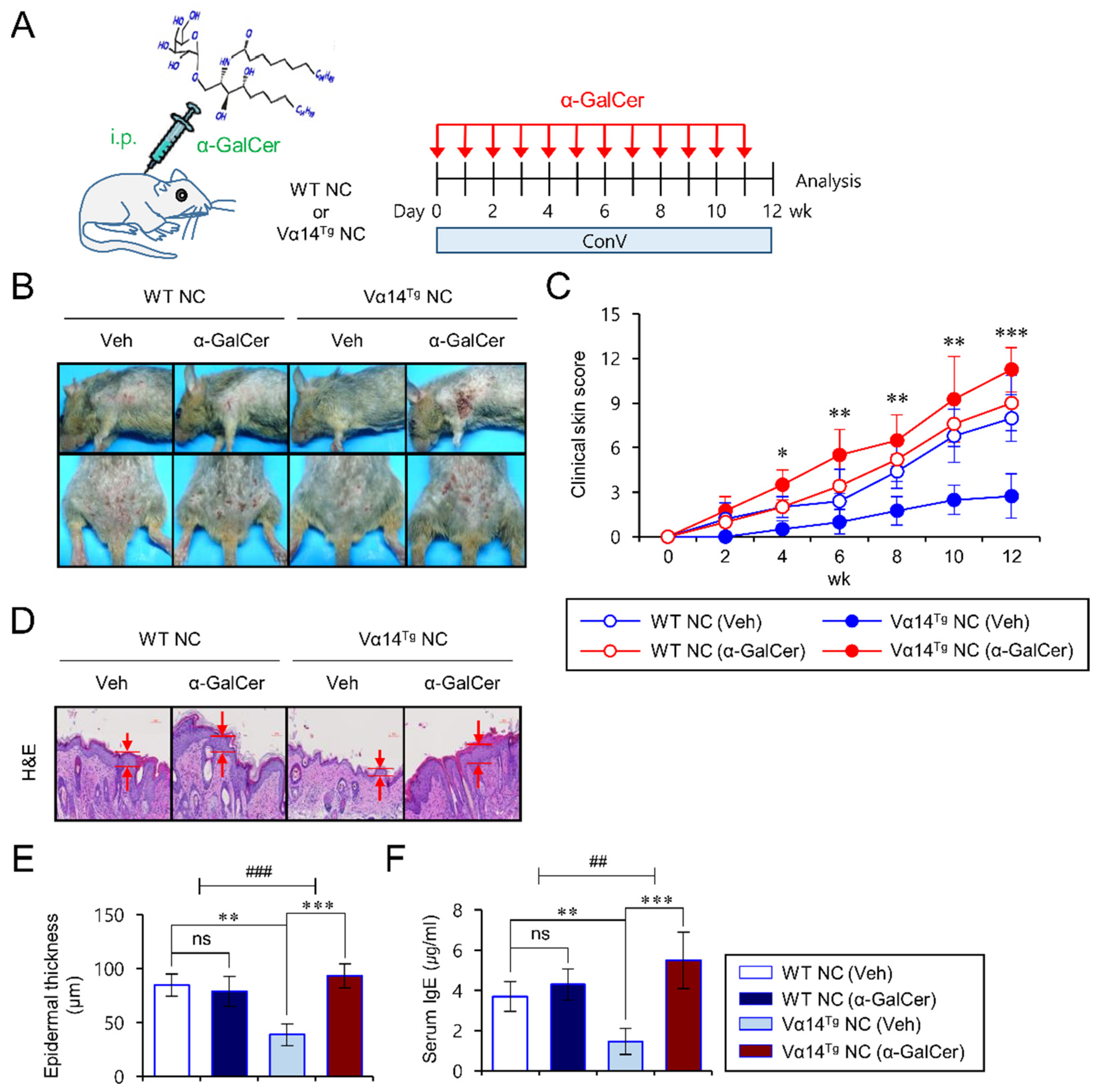 Biomedicines 09 01619 g001 550