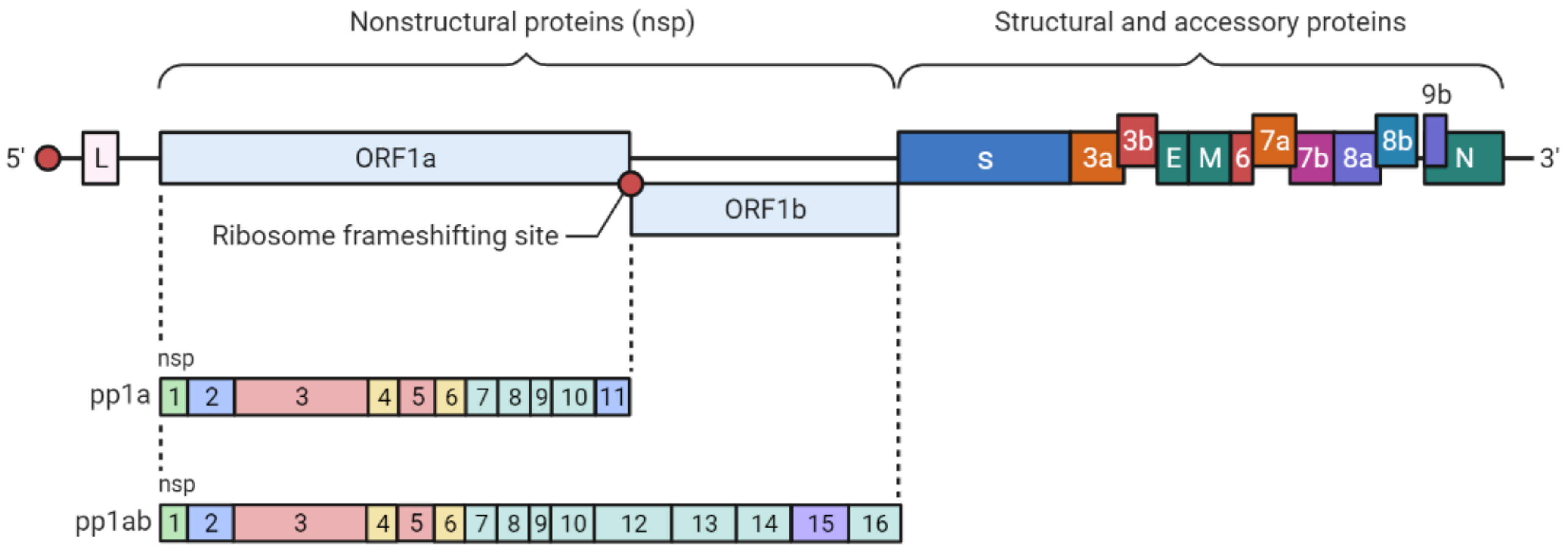 Biomedicines 09 01620 g001