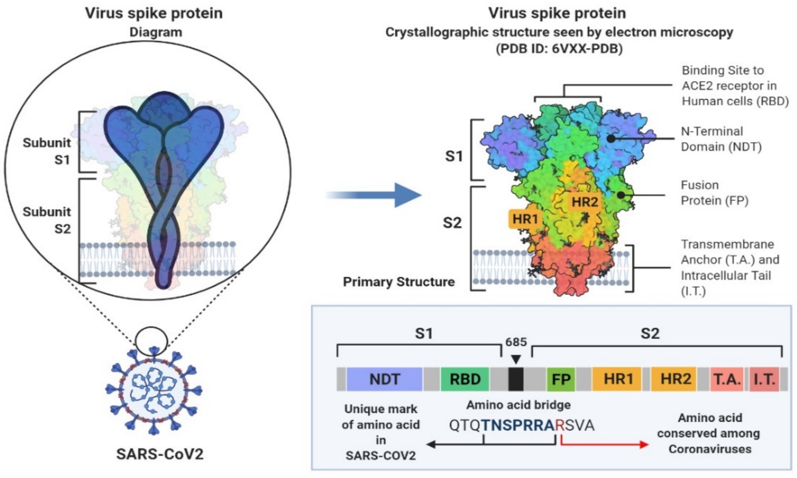 Biomedicines 09 01620 g002
